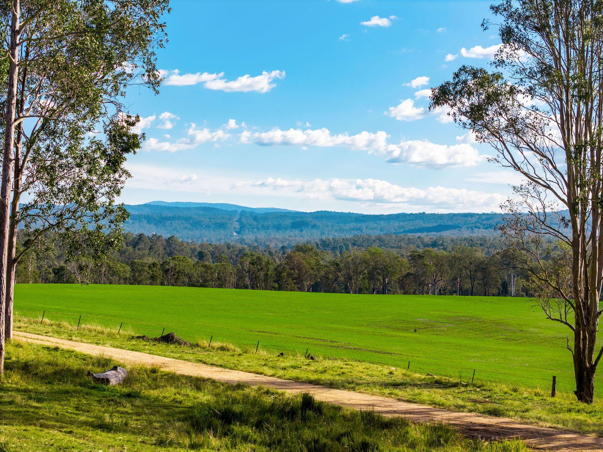Acreage/Semi-Rural for Sale: Tabulam, NSW 2469, NSW, 2469