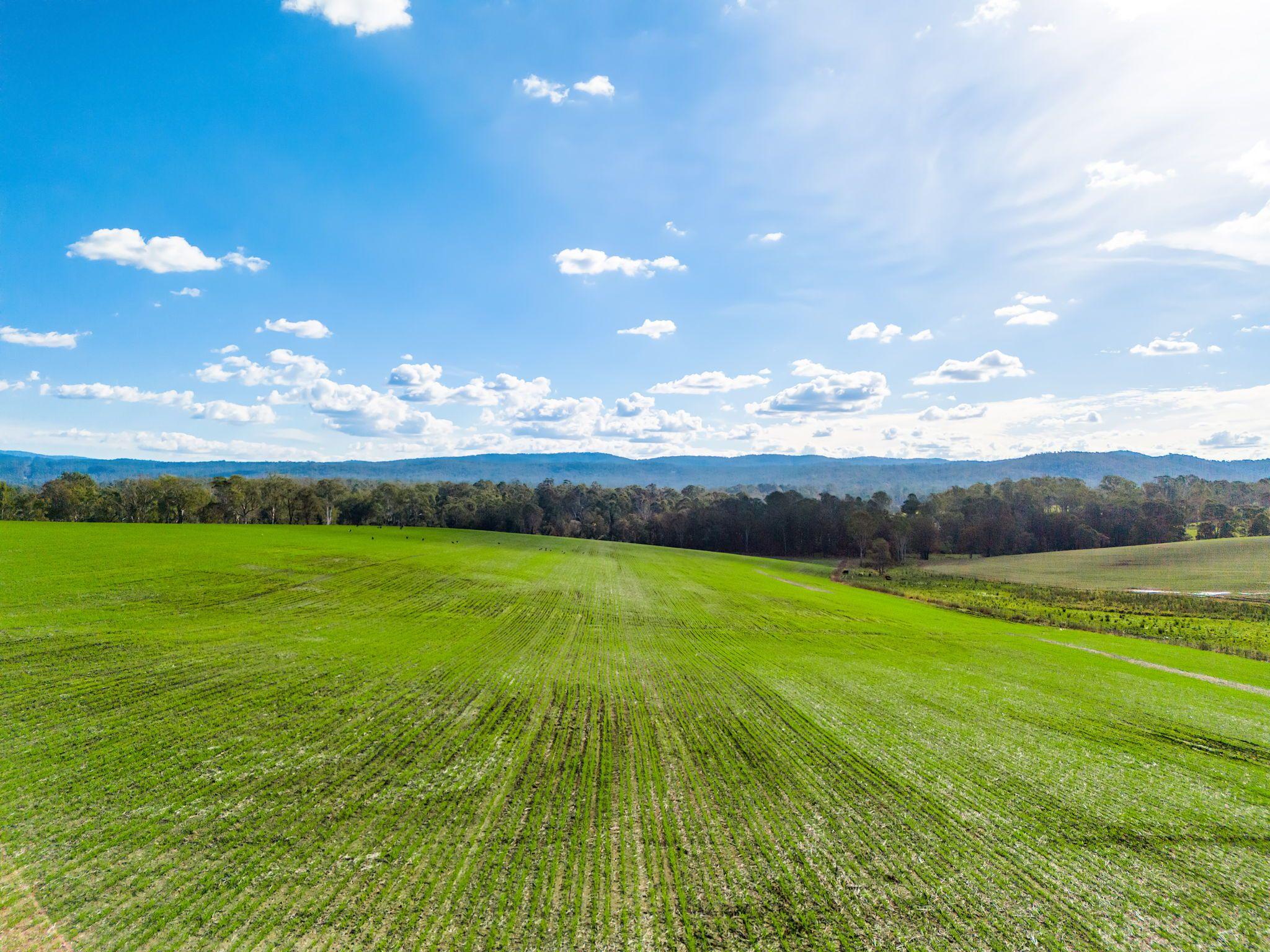 Acreage/Semi-Rural for Sale: Tabulam, NSW 2469, NSW, 2469