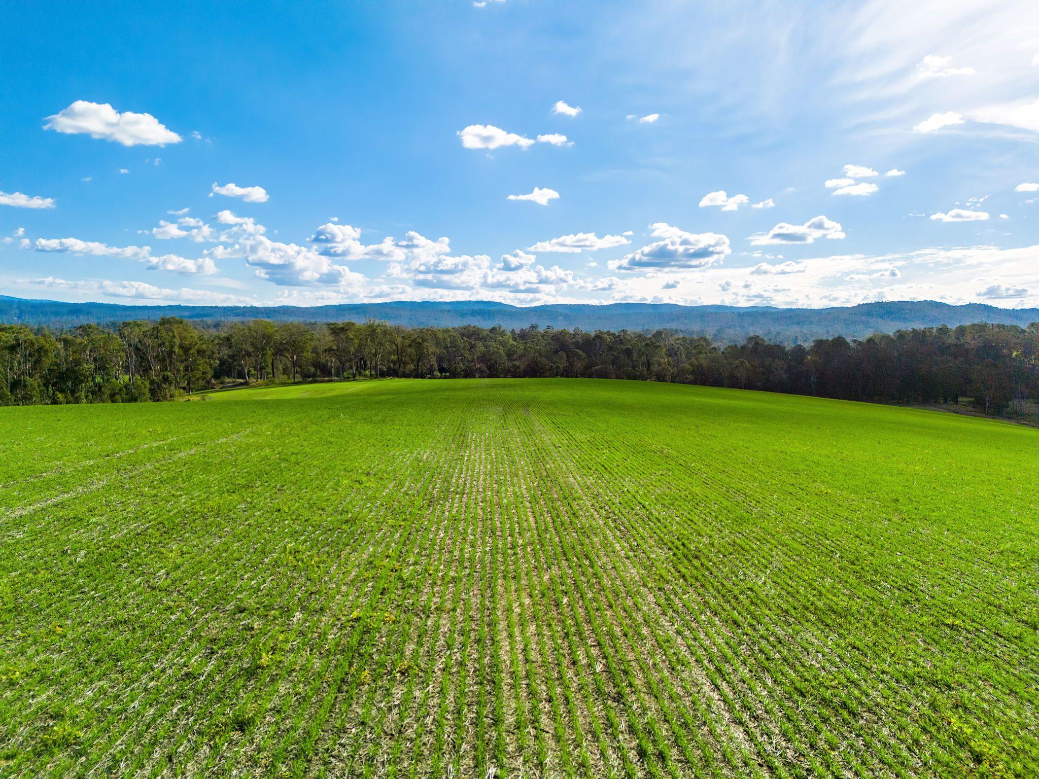 Acreage/Semi-Rural for Sale: Tabulam, NSW 2469, NSW, 2469