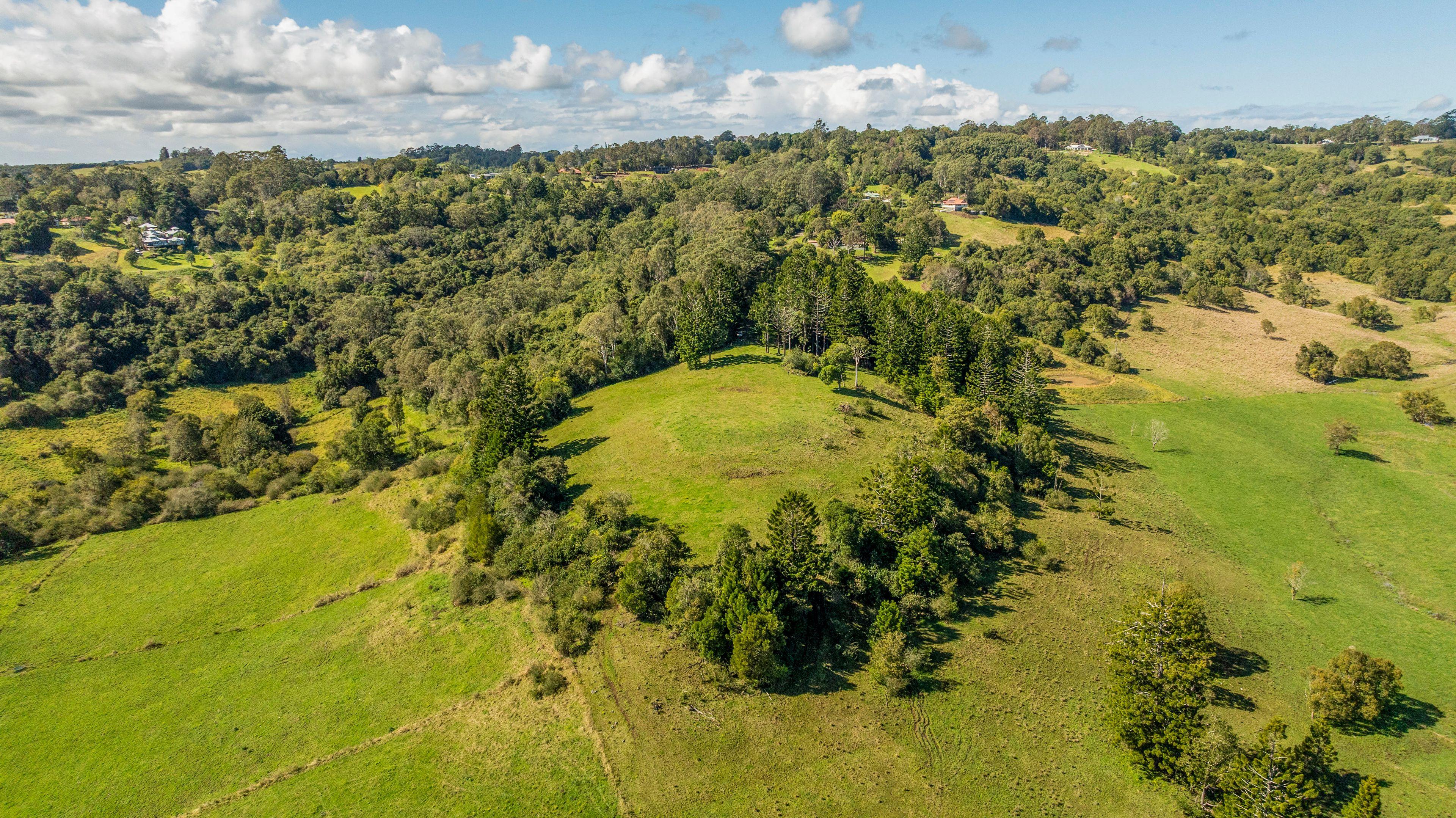 Prop-GPT: Lifestyle: NSW Mcleans Ridges, NSW 2480 Rural