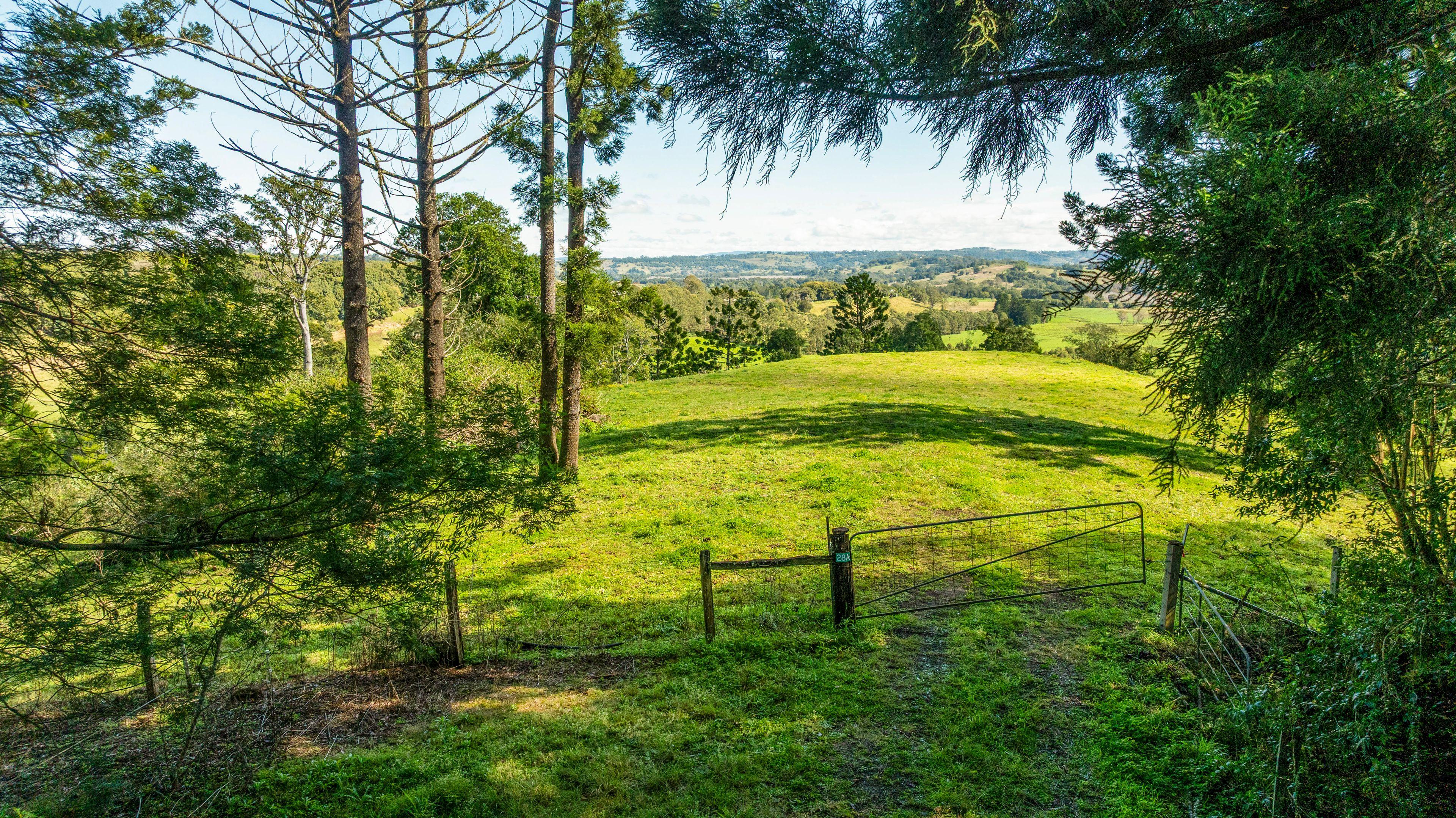 Lifestyle for Sale: Mcleans Ridges, NSW 2480, NSW, 2480
