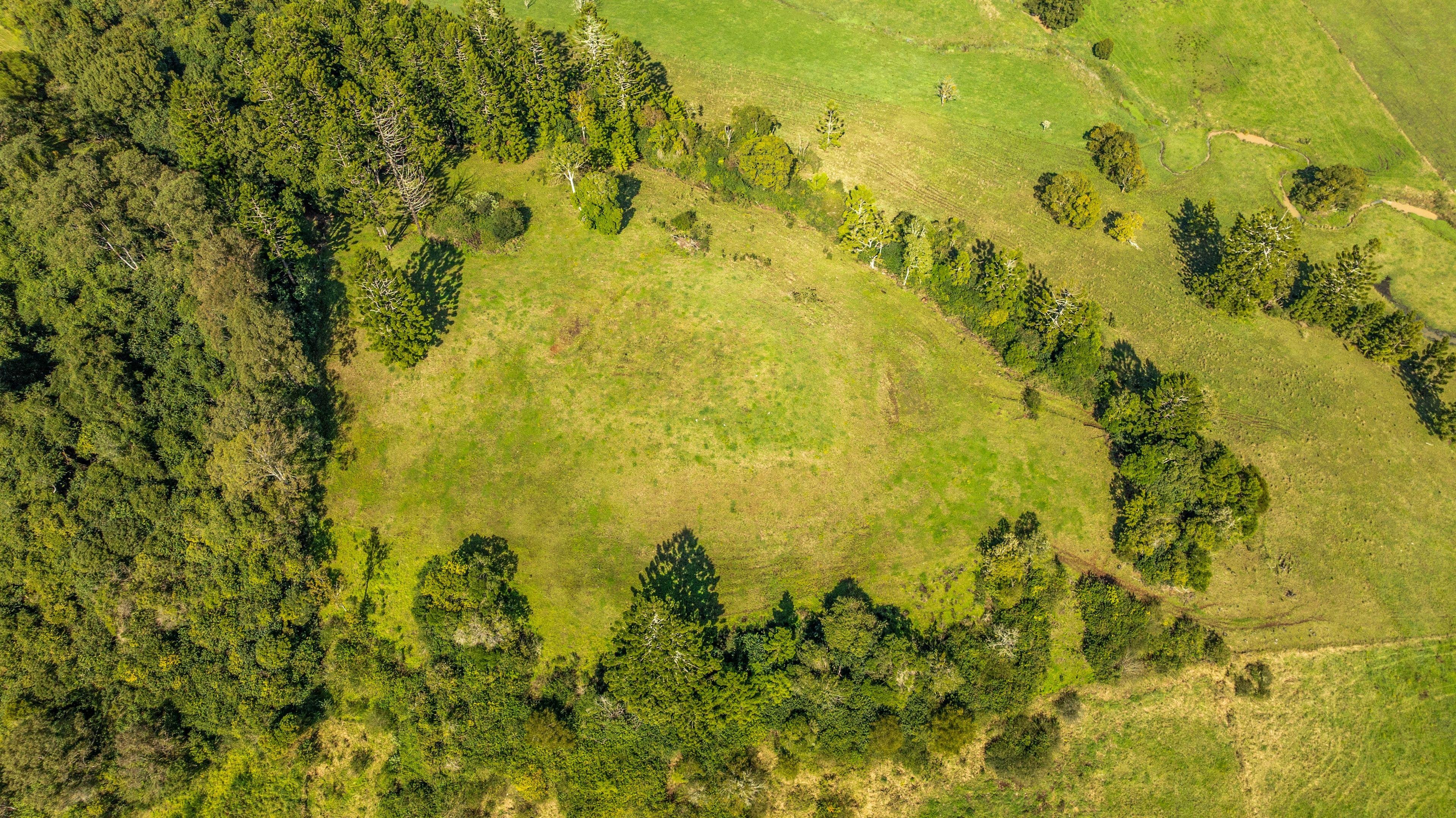 Lifestyle for Sale: Mcleans Ridges, NSW 2480, NSW, 2480
