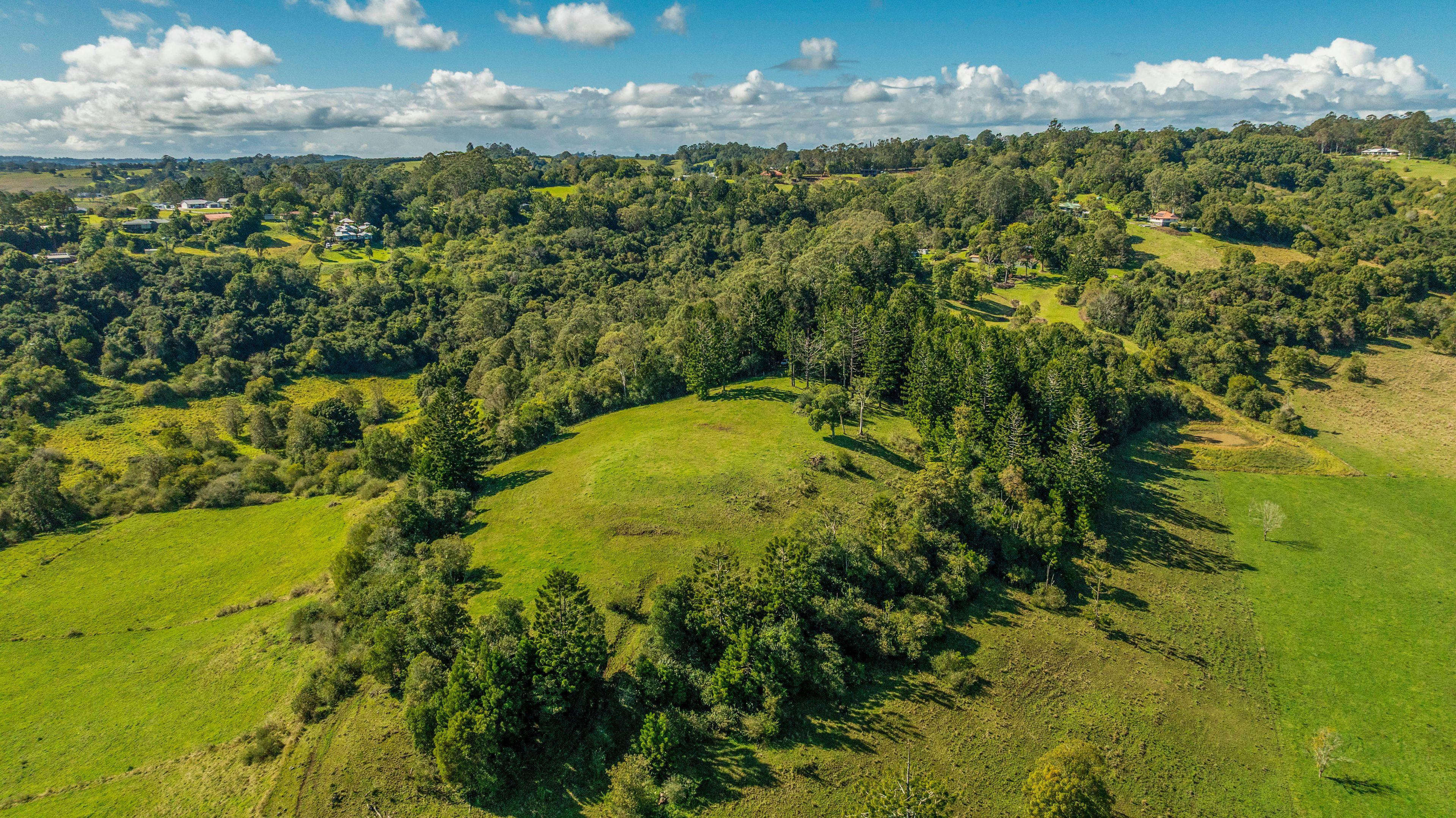 Lifestyle for Sale: Mcleans Ridges, NSW 2480, NSW, 2480