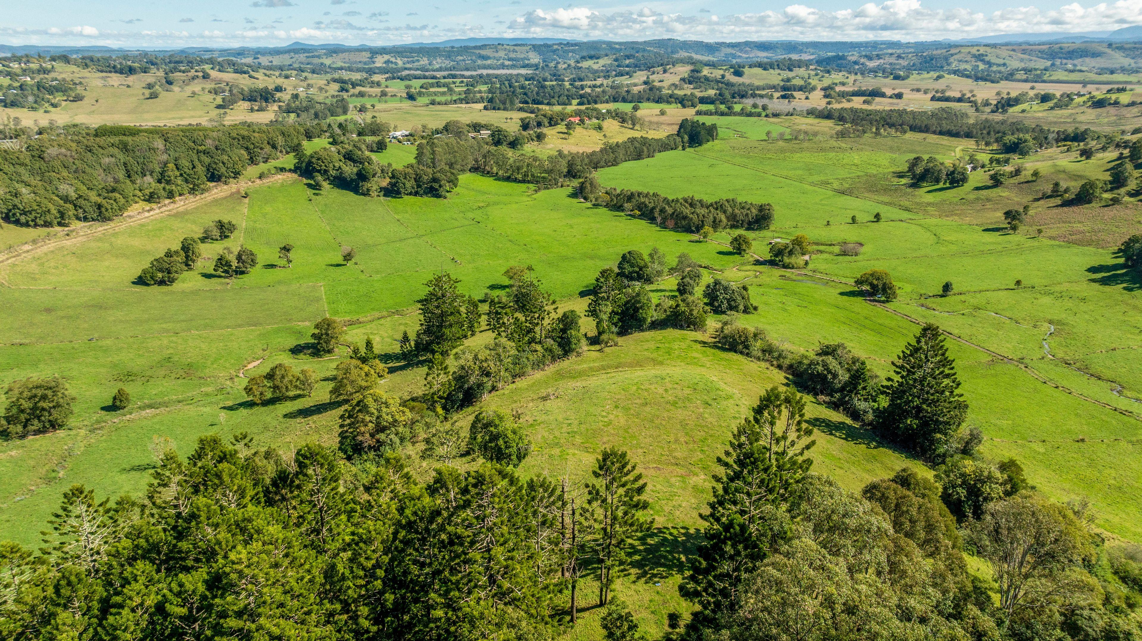 Lifestyle for Sale: Mcleans Ridges, NSW 2480, NSW, 2480