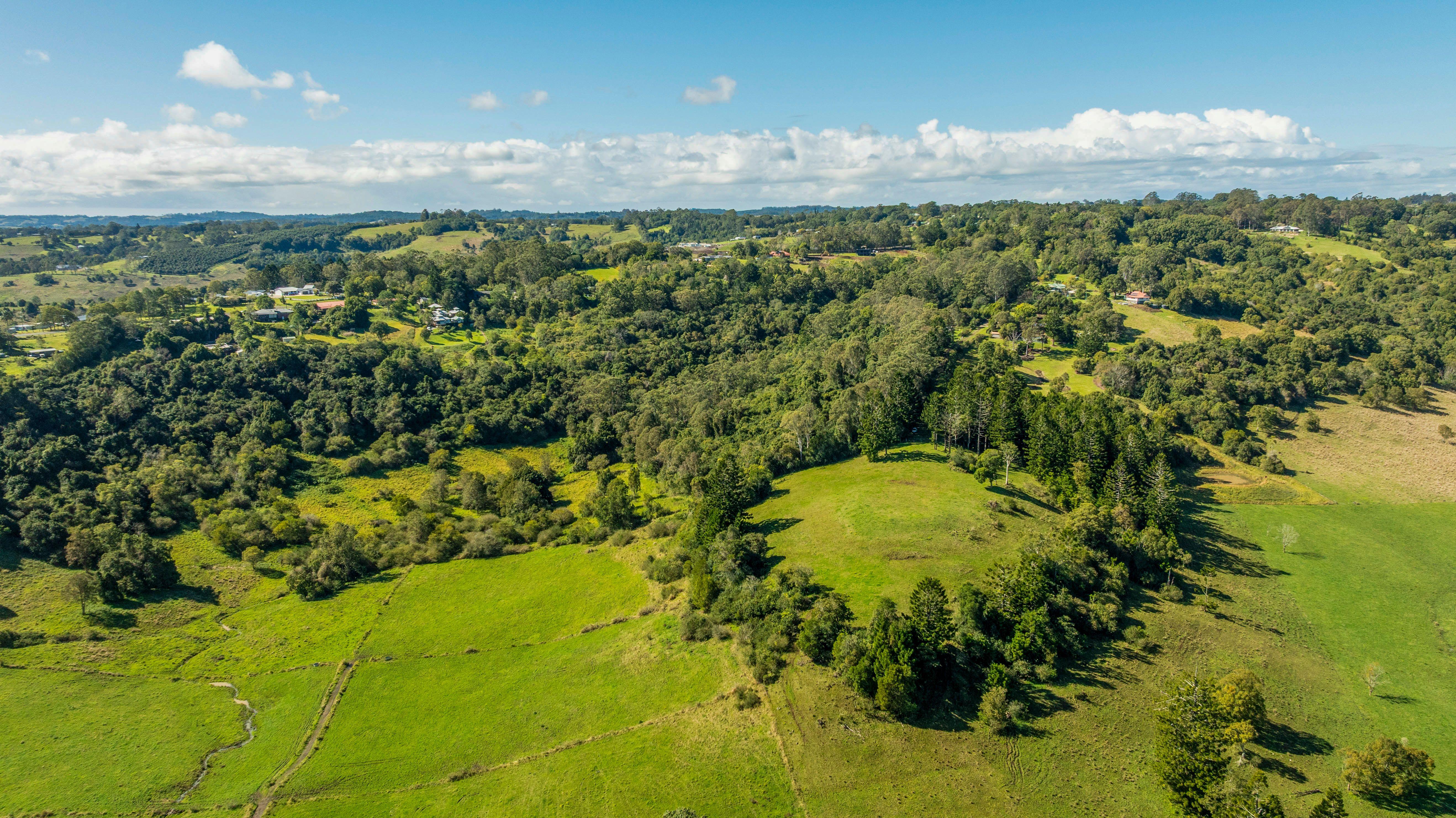Lifestyle for Sale: Mcleans Ridges, NSW 2480, NSW, 2480