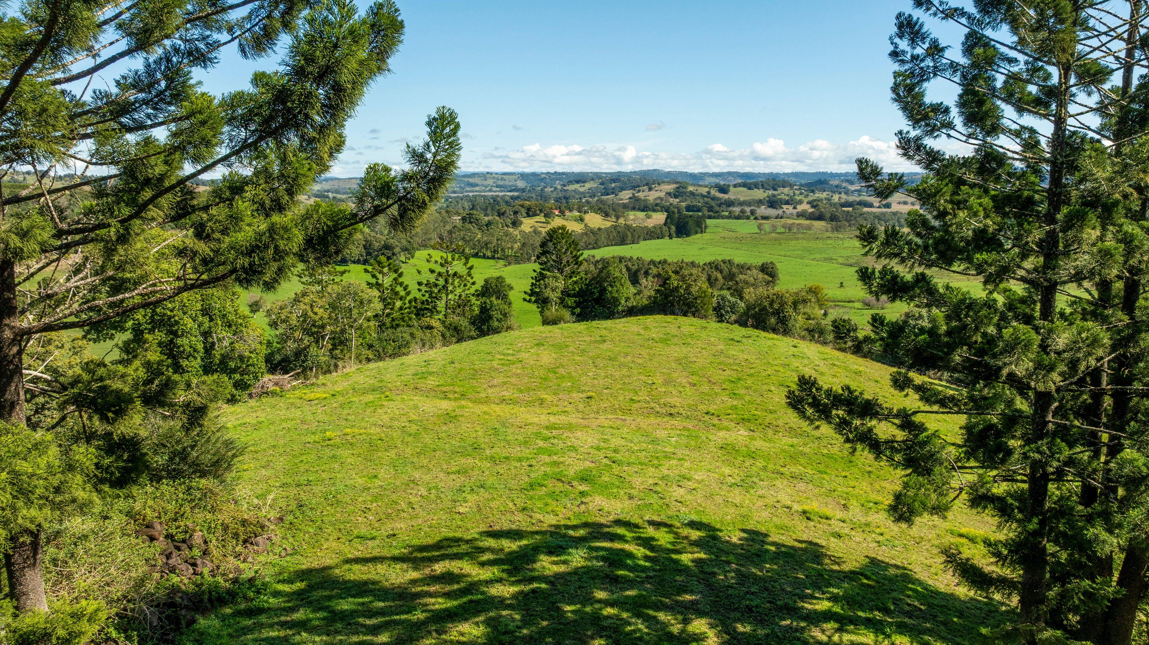Lifestyle for Sale: Mcleans Ridges, NSW 2480, NSW, 2480