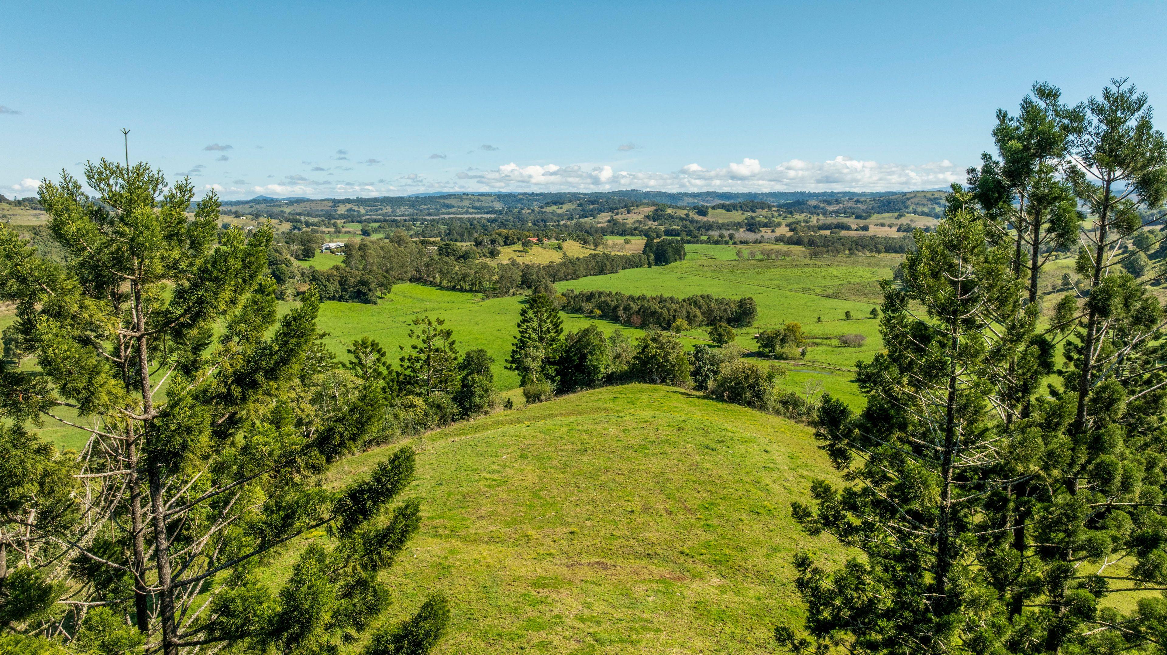 Lifestyle for Sale: Mcleans Ridges, NSW 2480, NSW, 2480