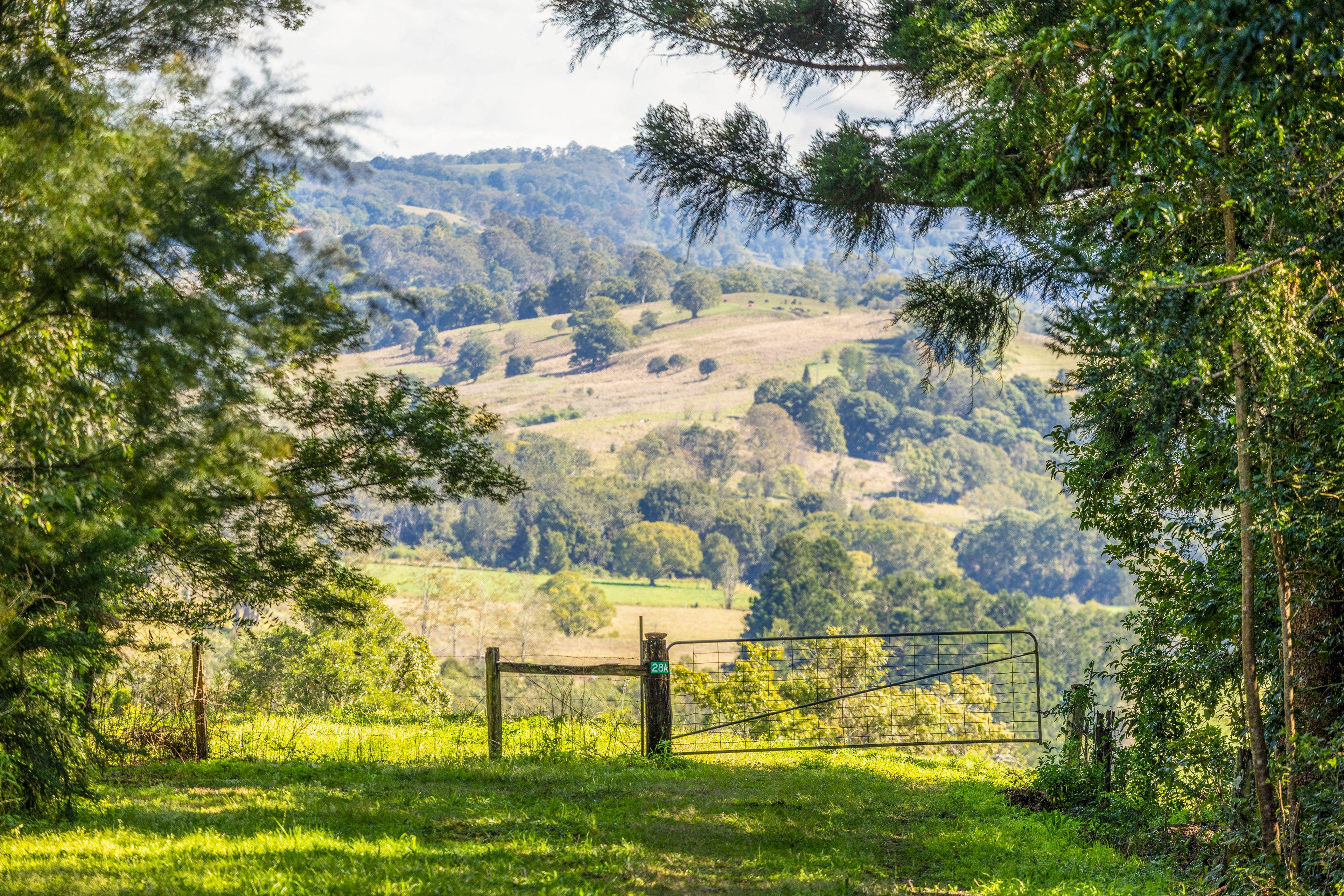 Lifestyle for Sale: Mcleans Ridges, NSW 2480, NSW, 2480