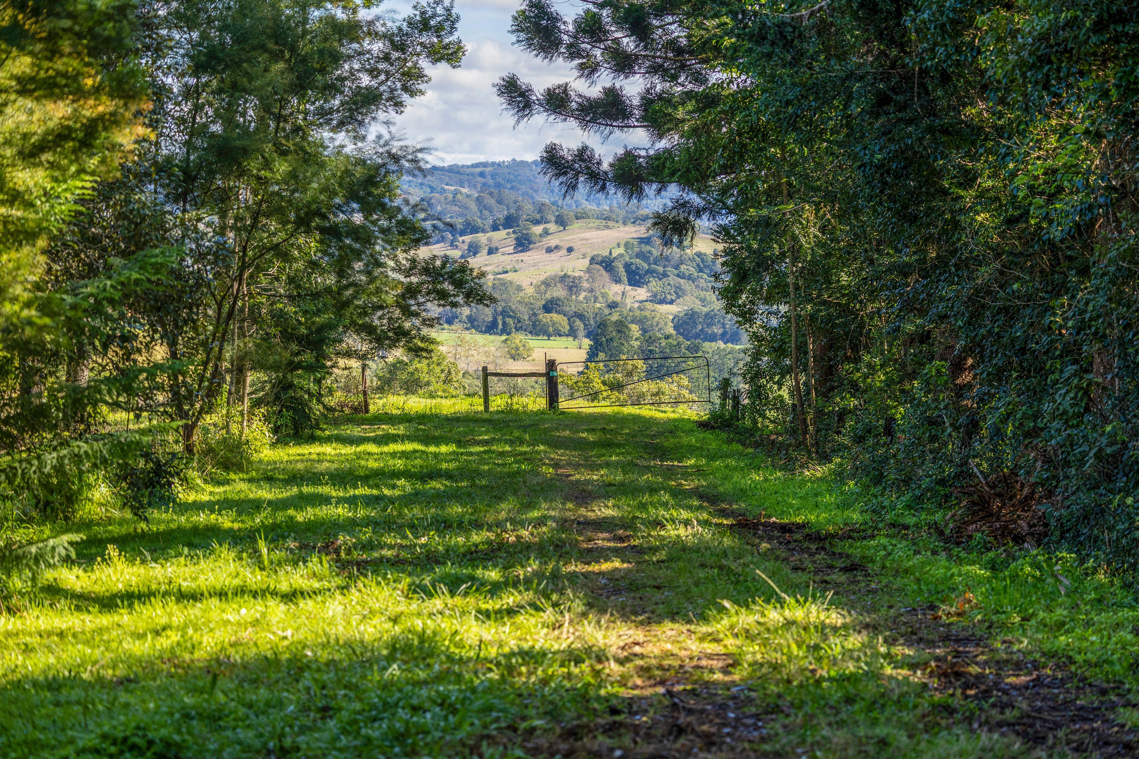 Lifestyle for Sale: Mcleans Ridges, NSW 2480, NSW, 2480