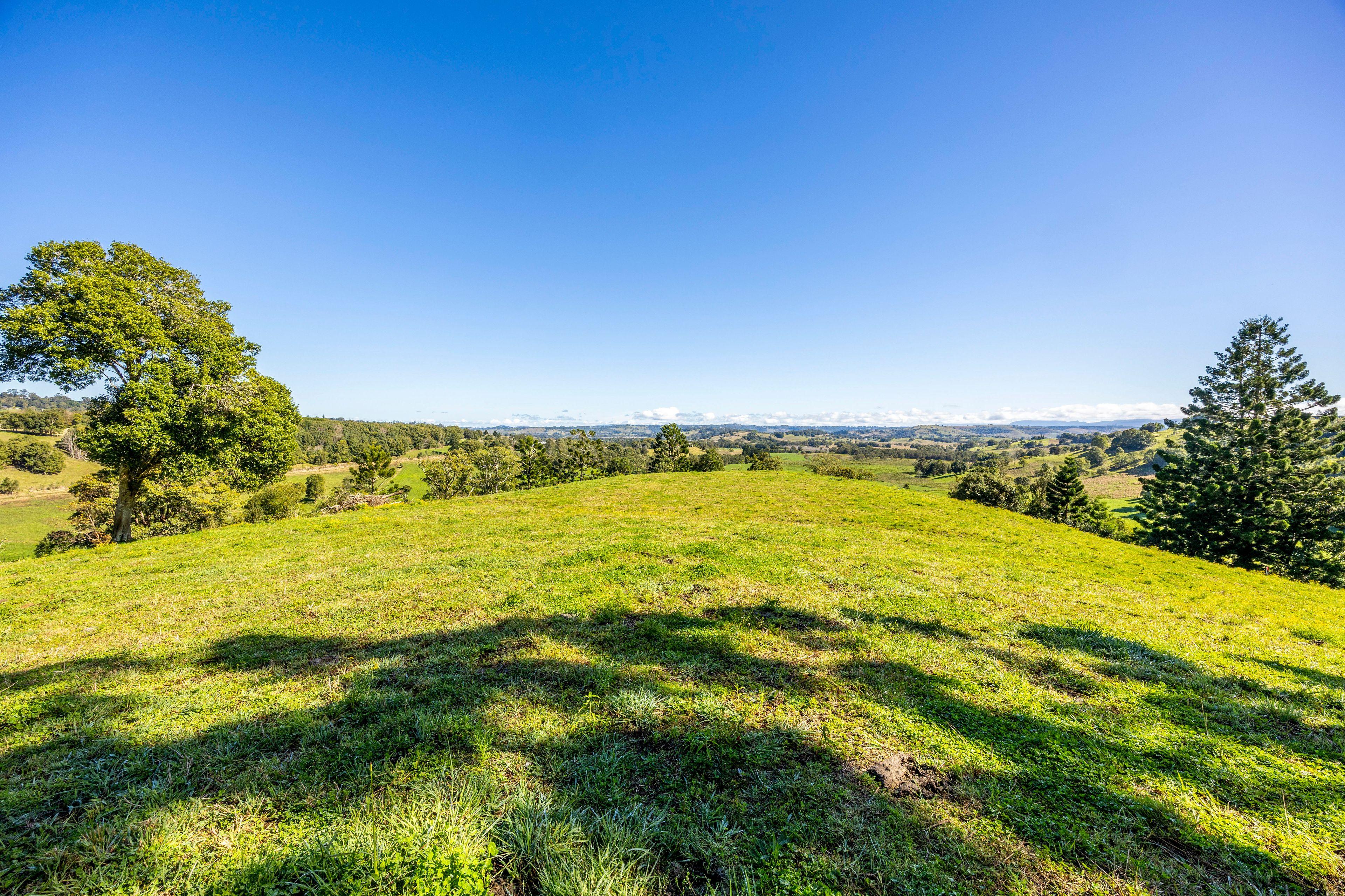 Lifestyle for Sale: Mcleans Ridges, NSW 2480, NSW, 2480