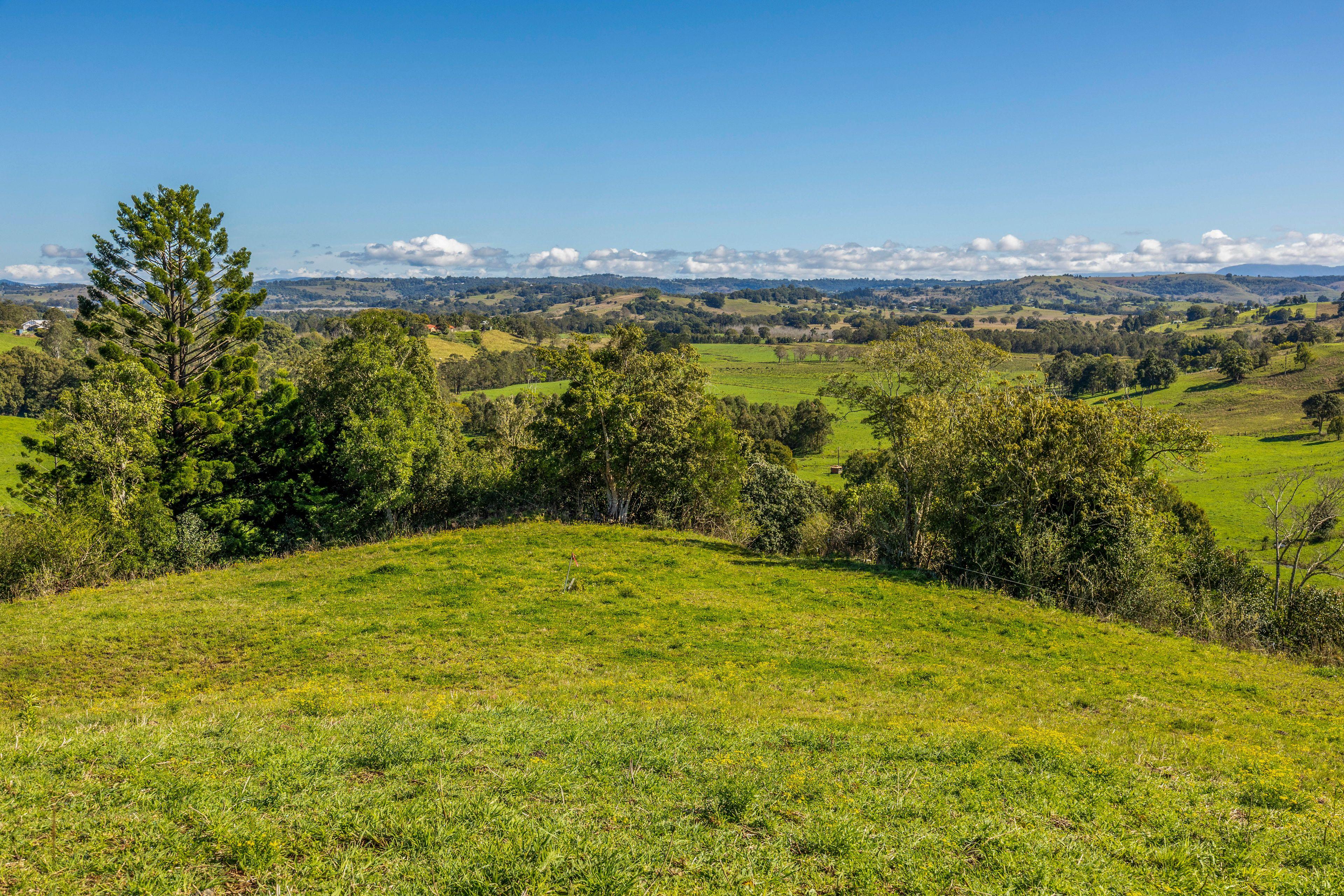 Lifestyle for Sale: Mcleans Ridges, NSW 2480, NSW, 2480