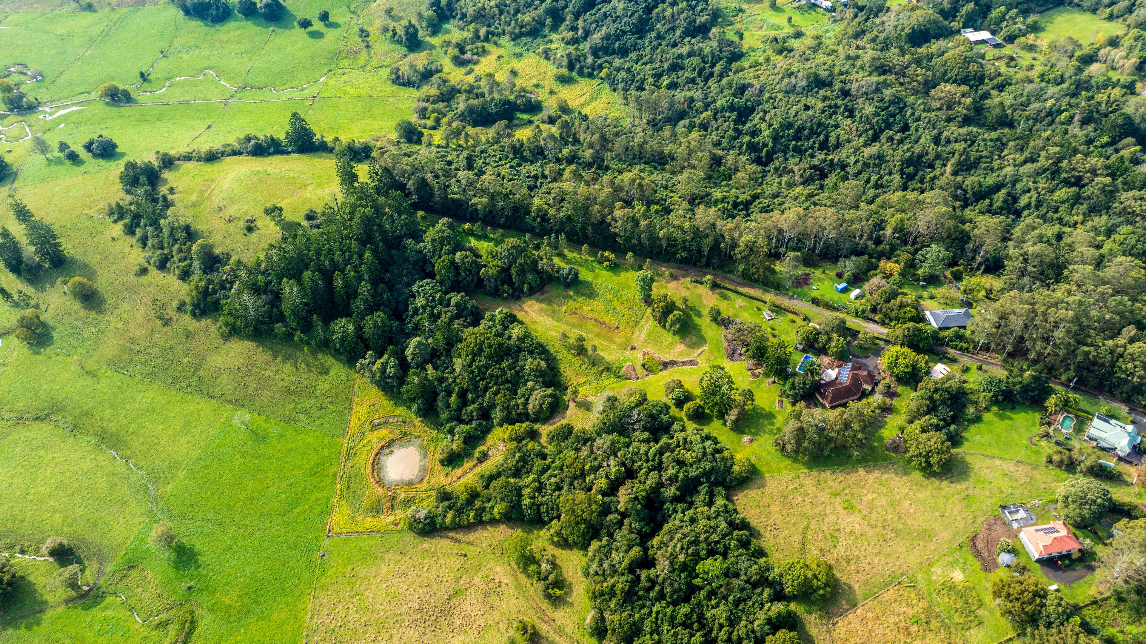 Lifestyle for Sale: Mcleans Ridges, NSW 2480, NSW, 2480