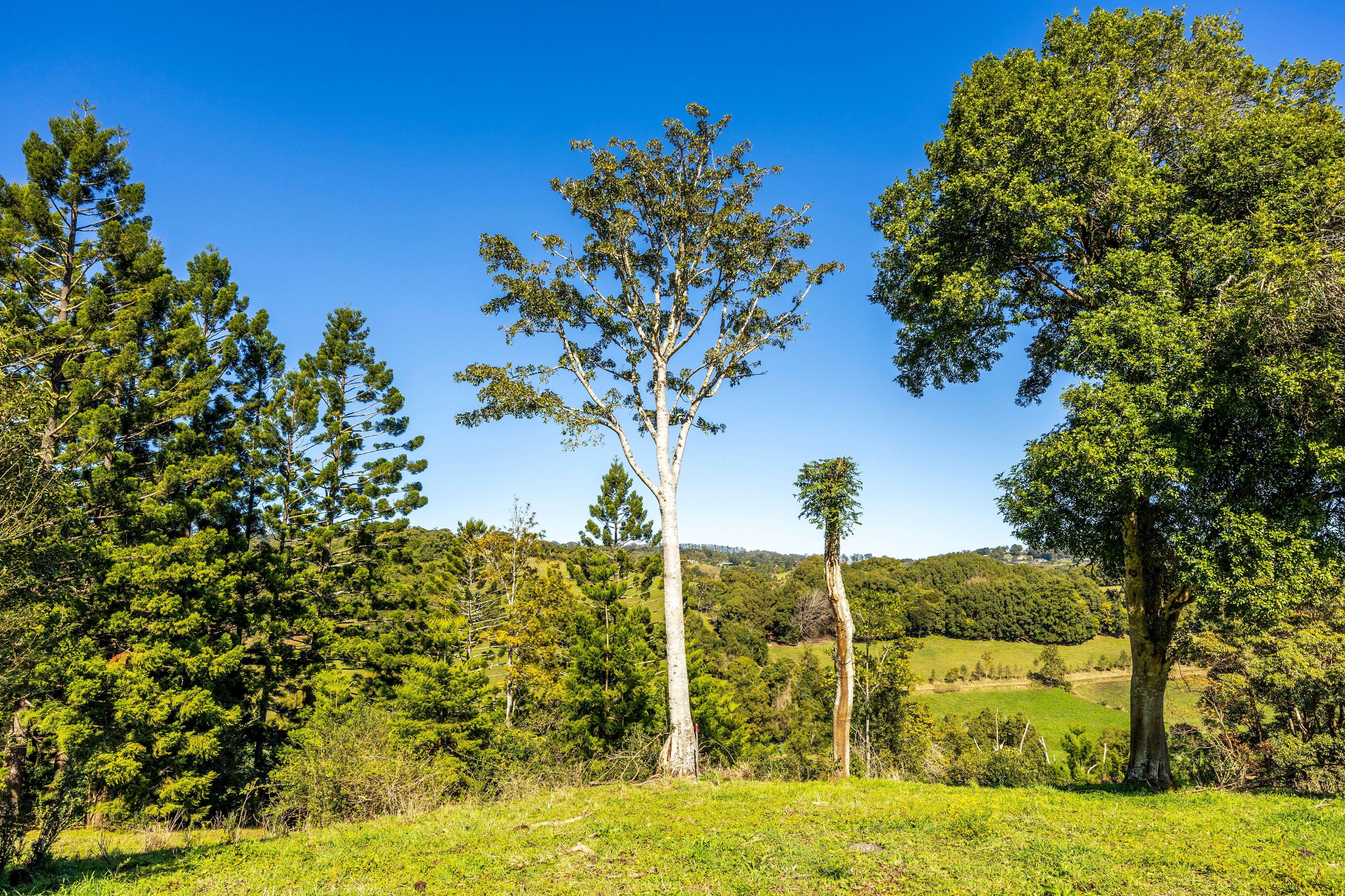 Lifestyle for Sale: Mcleans Ridges, NSW 2480, NSW, 2480