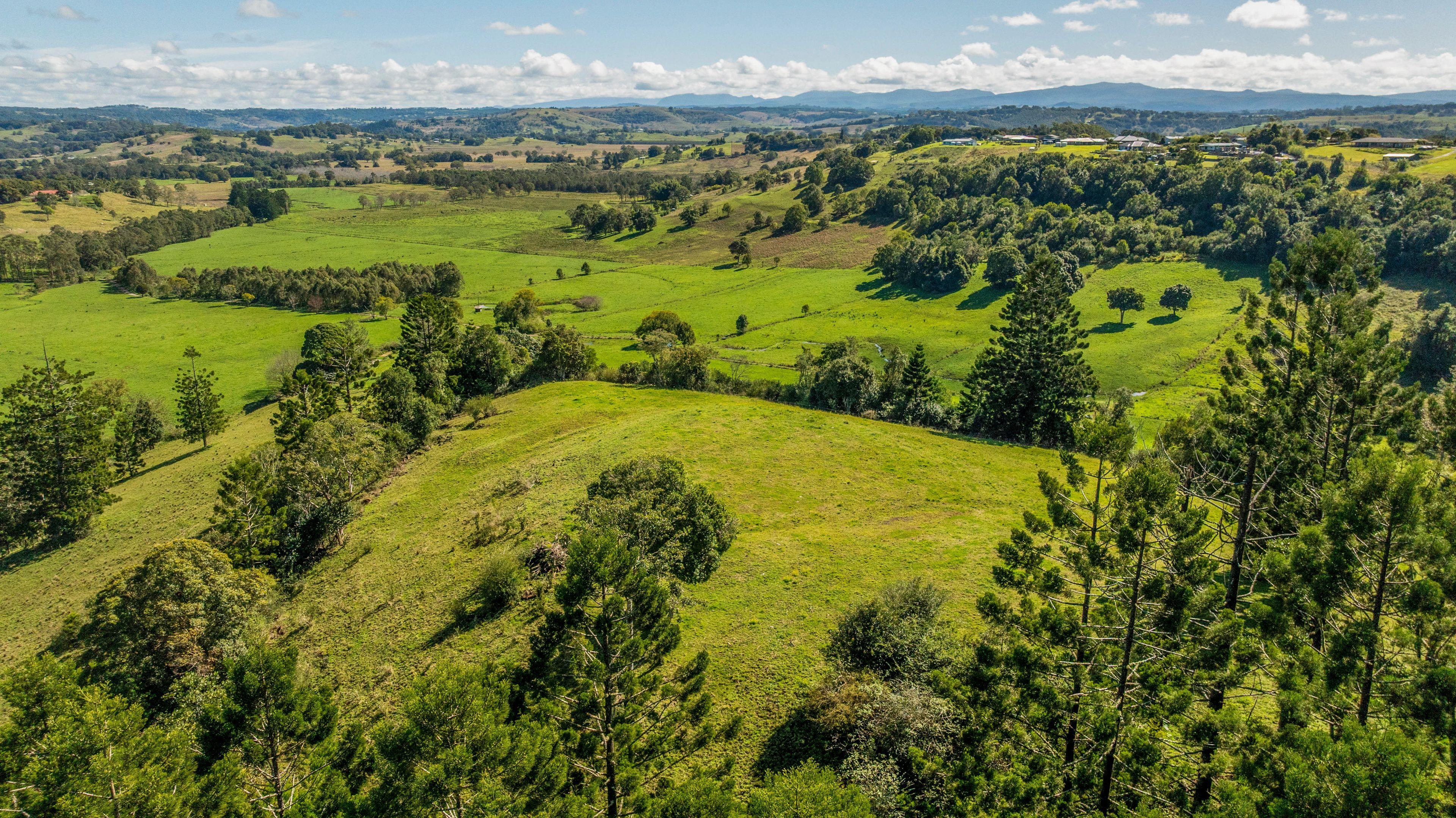 Lifestyle for Sale: Mcleans Ridges, NSW 2480, NSW, 2480