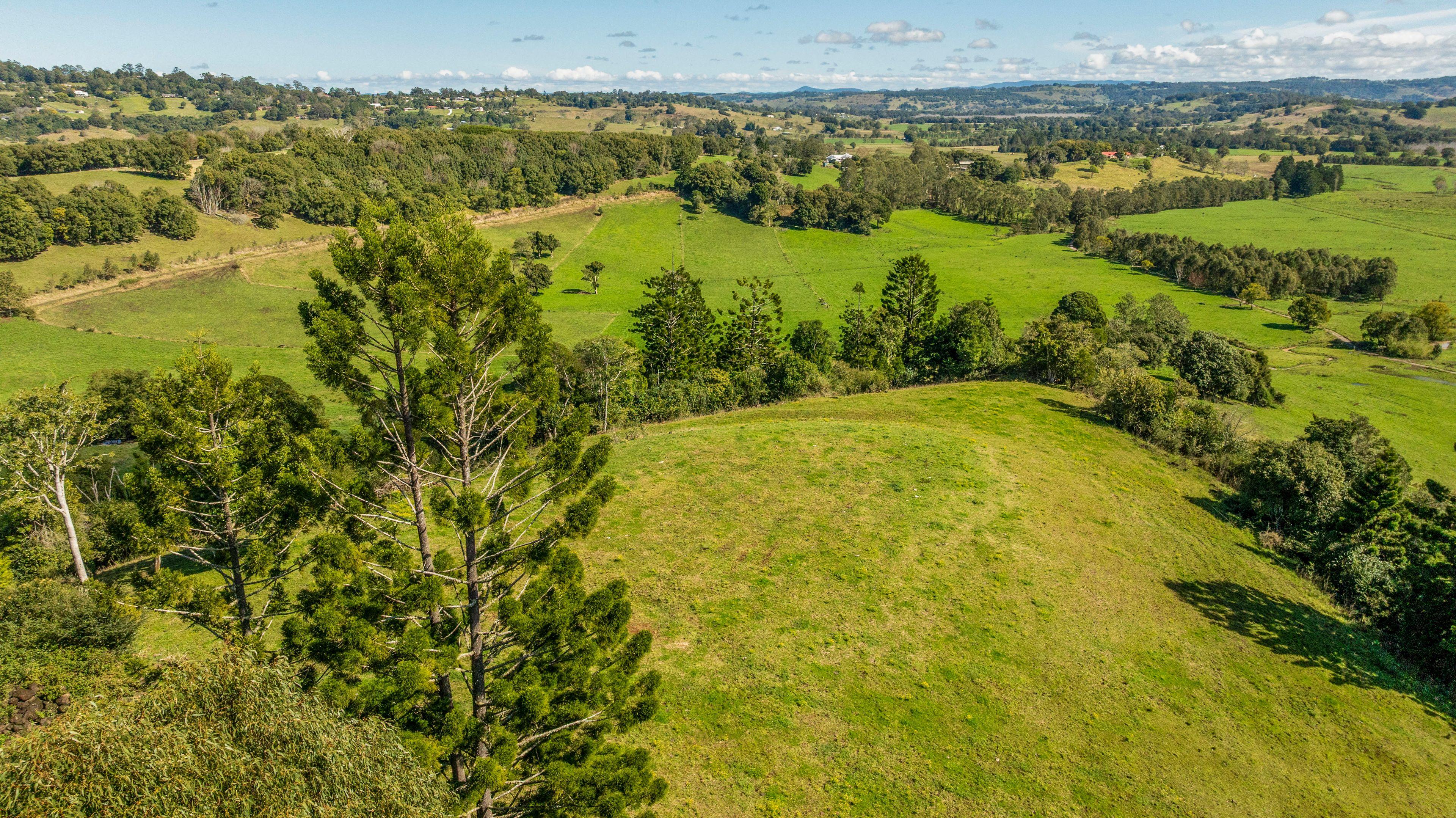 Lifestyle for Sale: Mcleans Ridges, NSW 2480, NSW, 2480