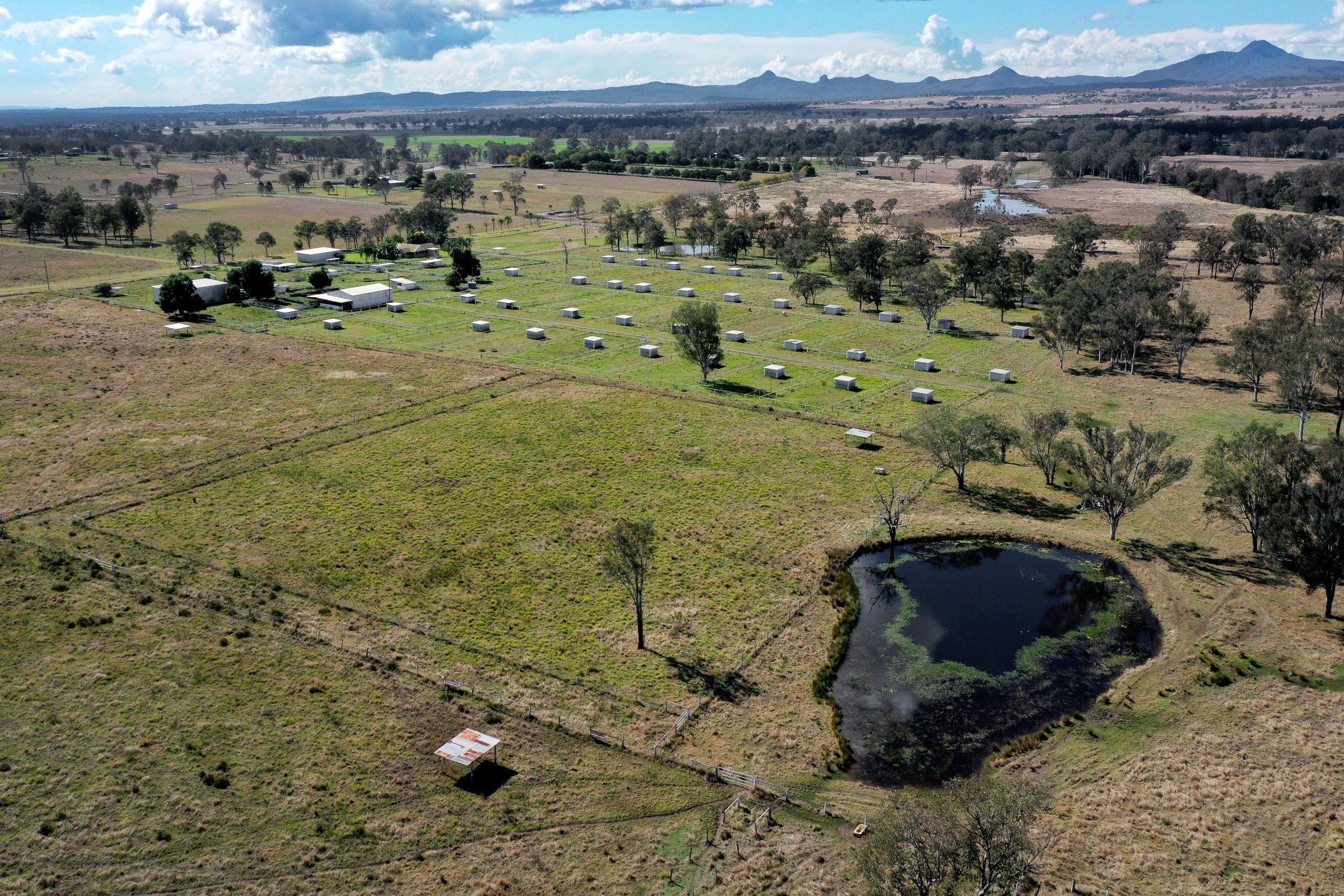 Mixed Farming for Sale: Harrisville, QLD 4307, QLD, 4307