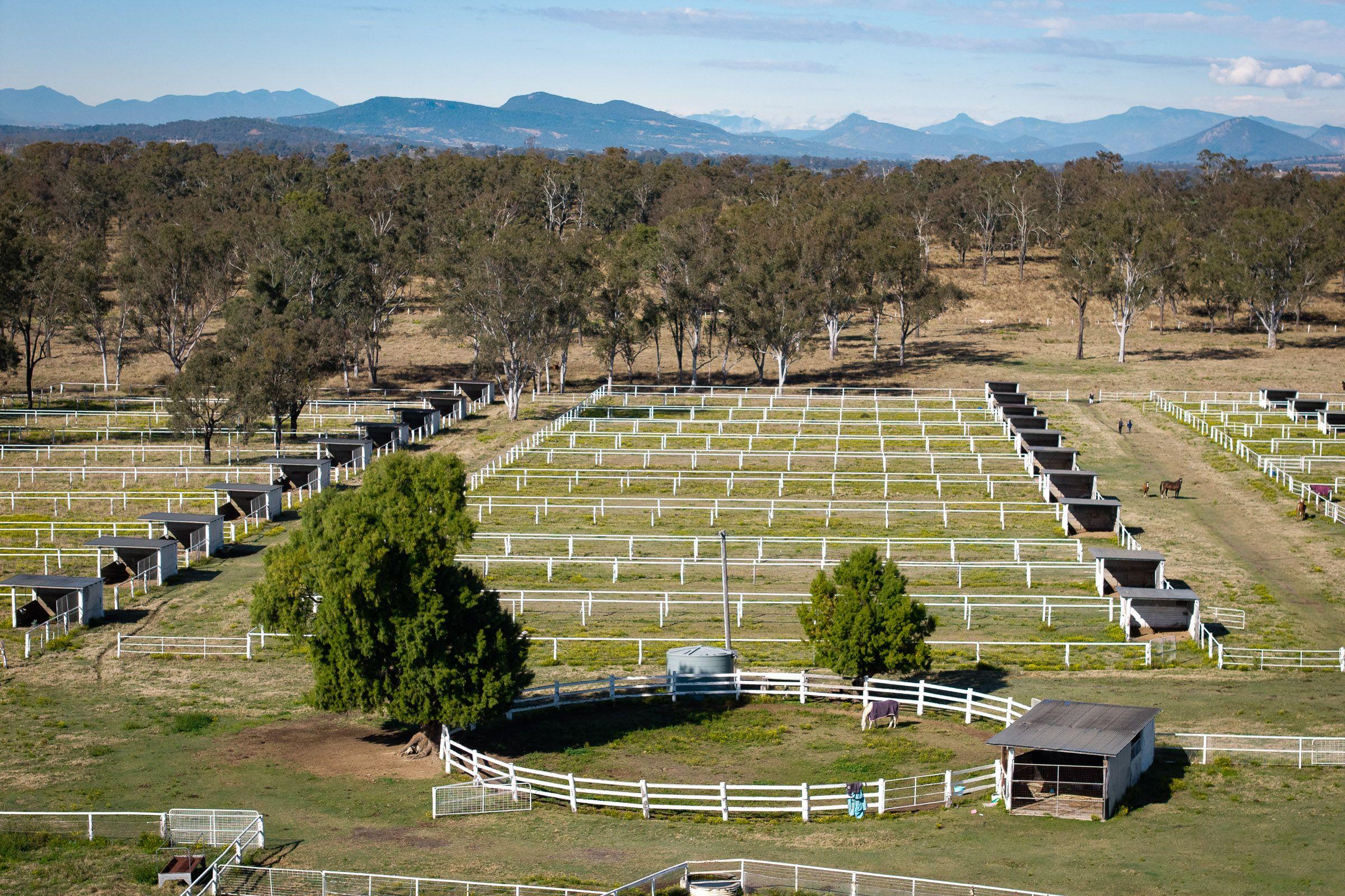 Mixed Farming for Sale: Harrisville, QLD 4307, QLD, 4307