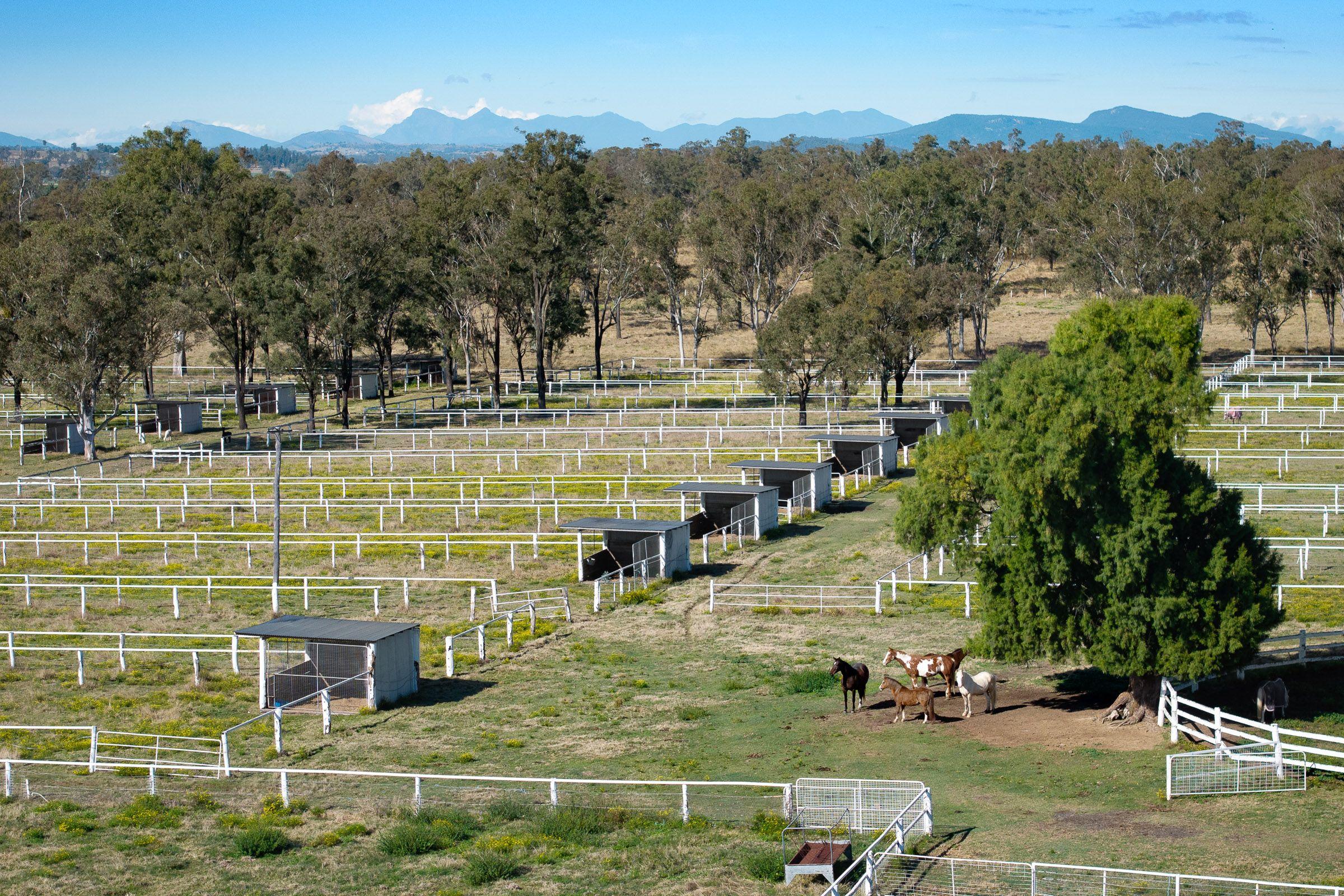 Mixed Farming for Sale: Harrisville, QLD 4307, QLD, 4307