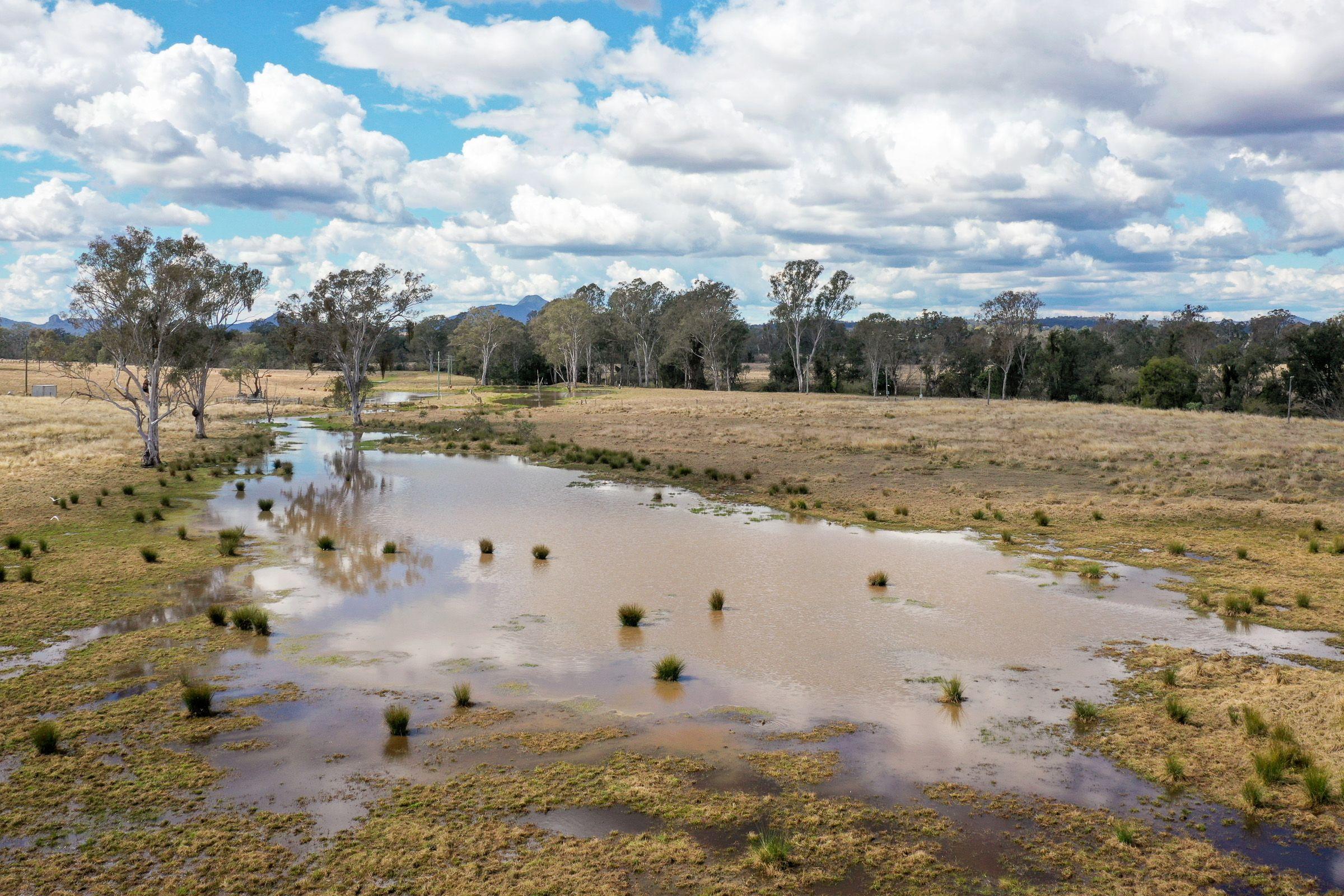 Mixed Farming for Sale: Harrisville, QLD 4307, QLD, 4307