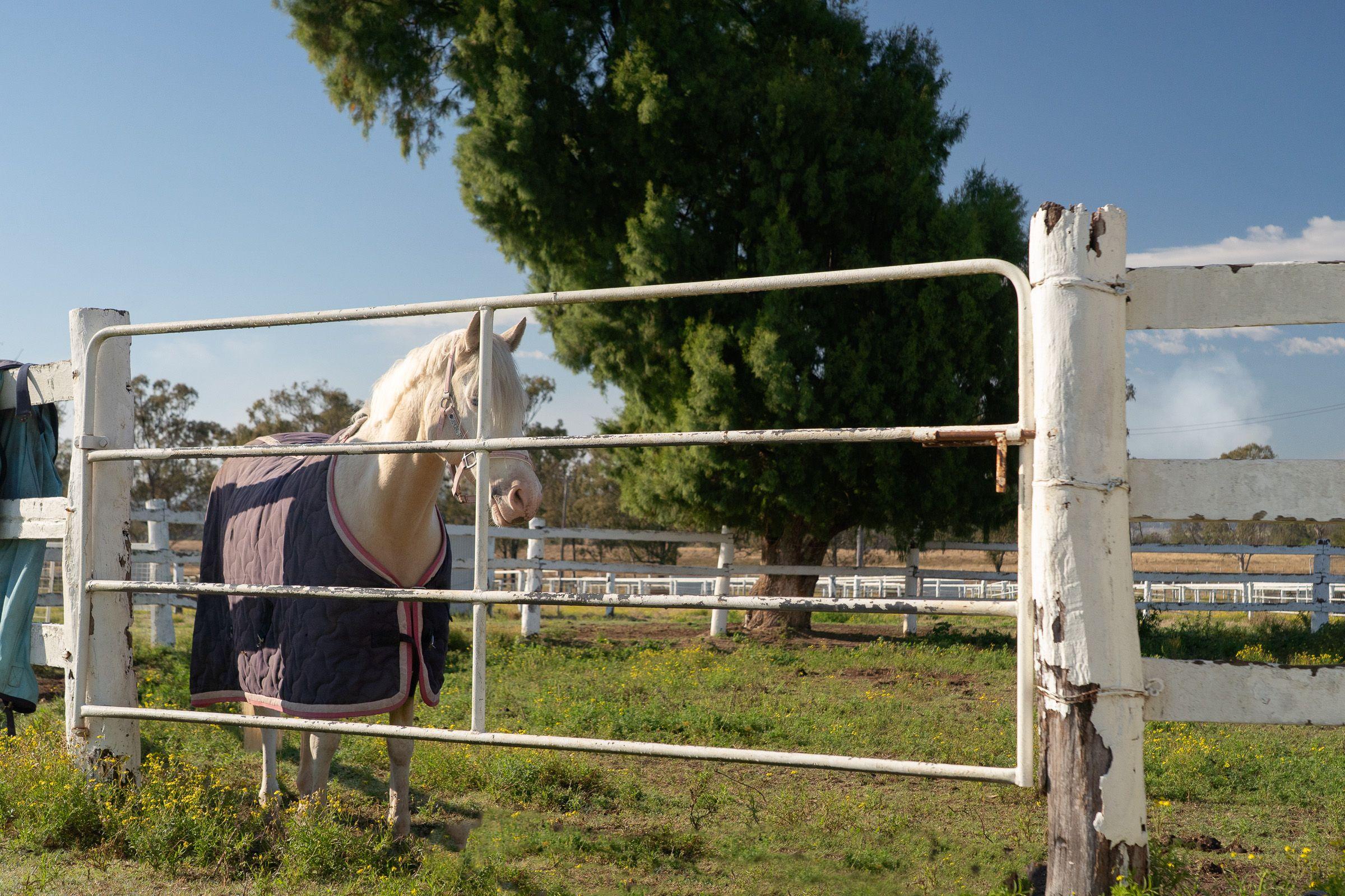 Mixed Farming for Sale: Harrisville, QLD 4307, QLD, 4307