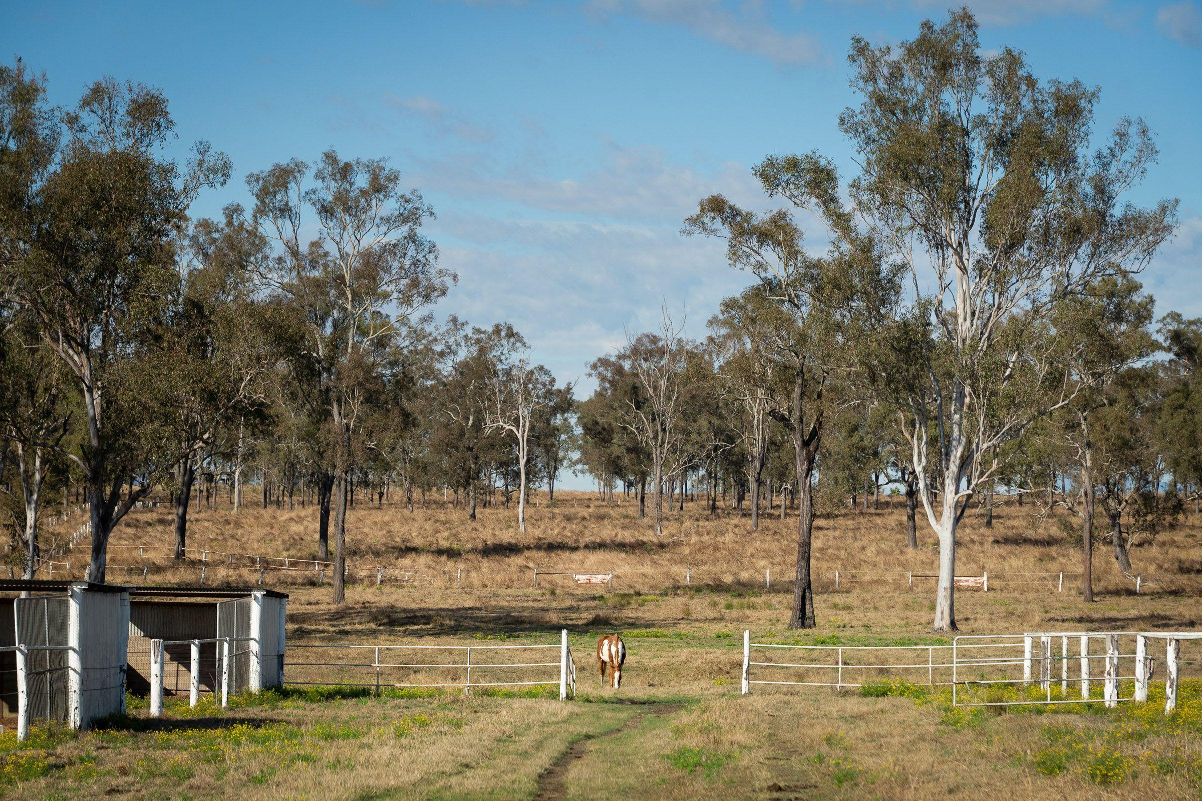 Mixed Farming for Sale: Harrisville, QLD 4307, QLD, 4307