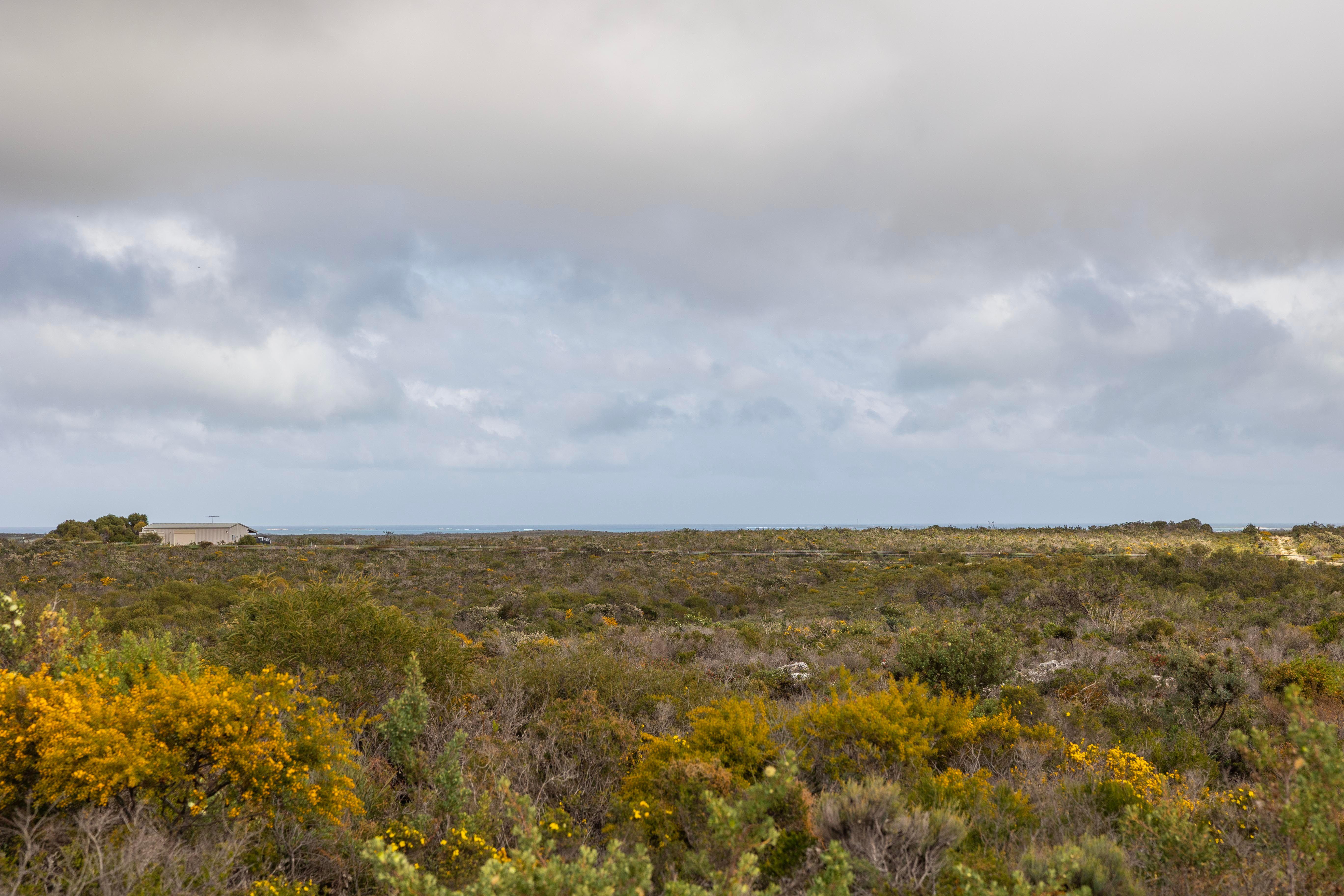 Land for Sale: Jurien Bay, WA 6516, WA, 6516