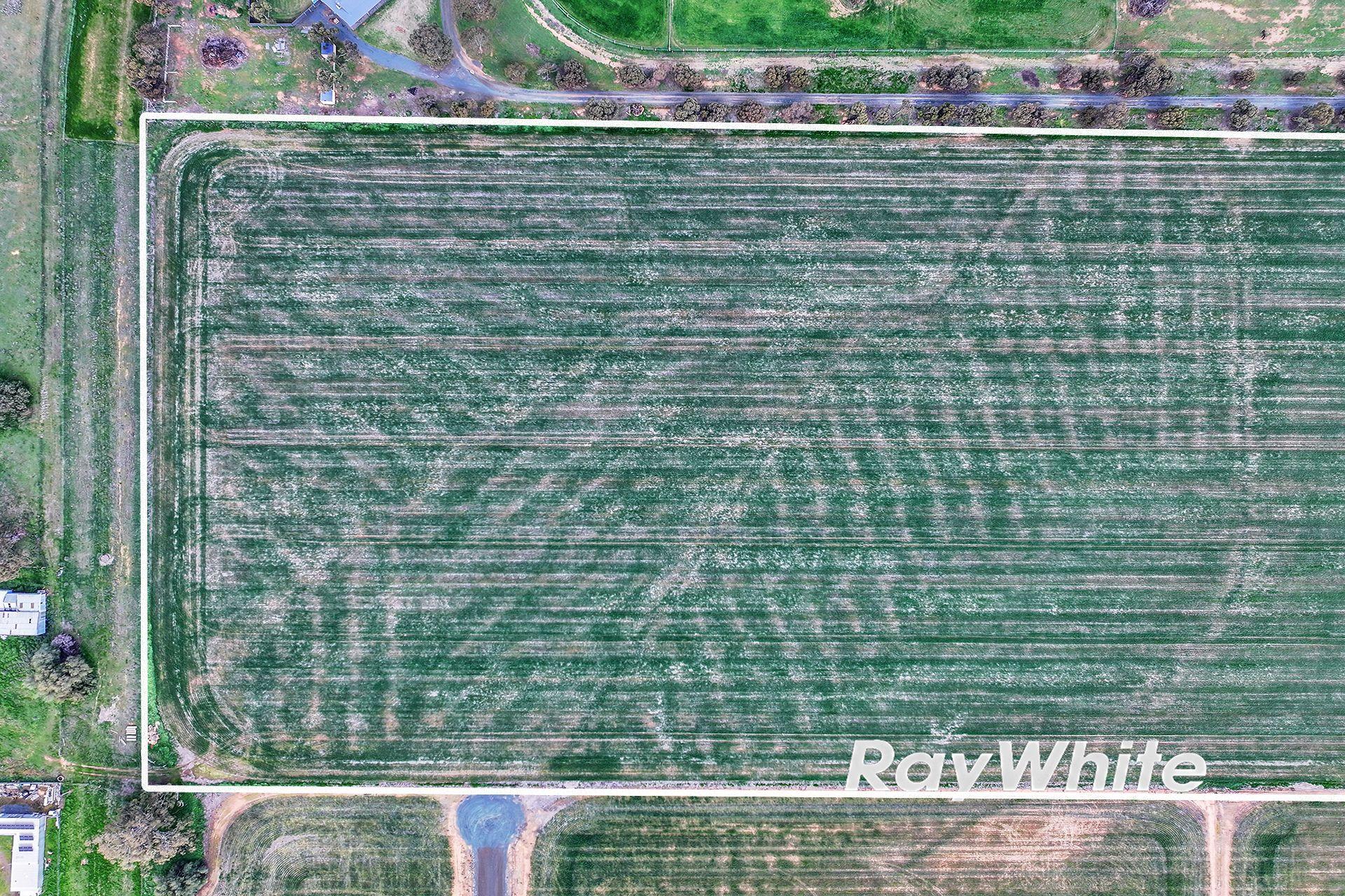 Land for Sale: Rochester, VIC 3561, VIC, 3561