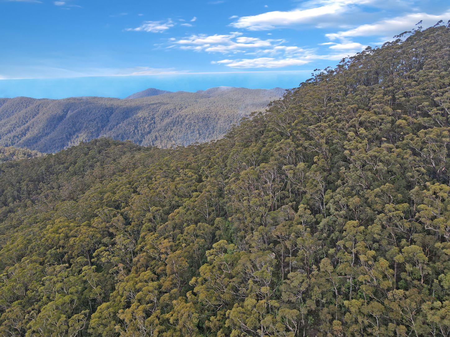 Prop-GPT: Land: TAS St Marys, TAS 7215 Tasmania 7215