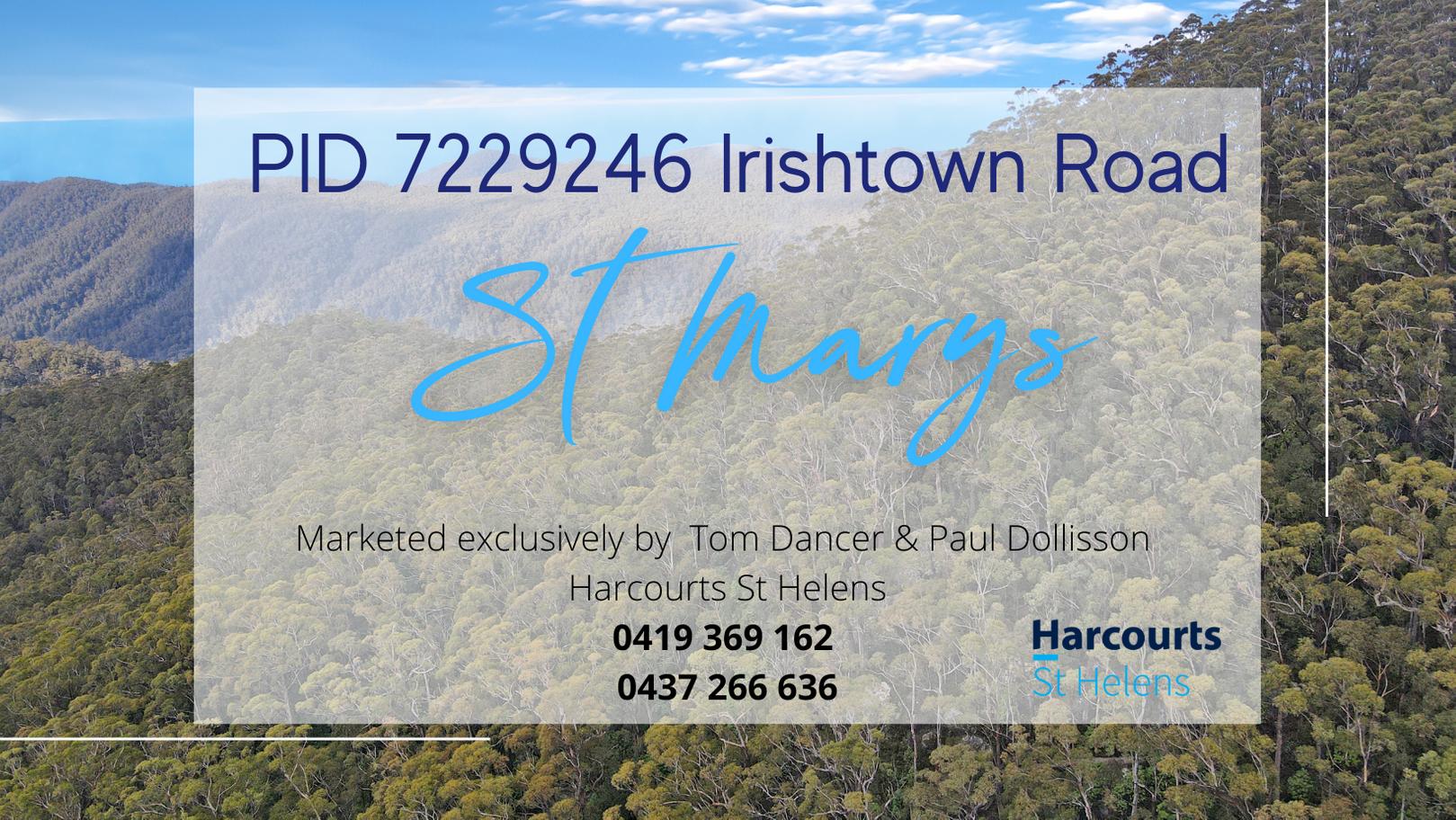 Land for Sale: St Marys, TAS 7215, TAS, 7215