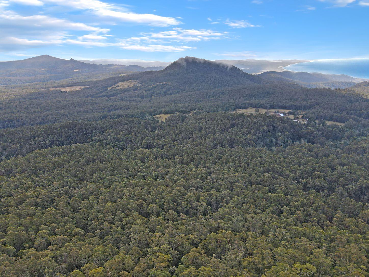 Prop-GPT: Land: TAS St Marys, TAS 7215 Tasmania 7215