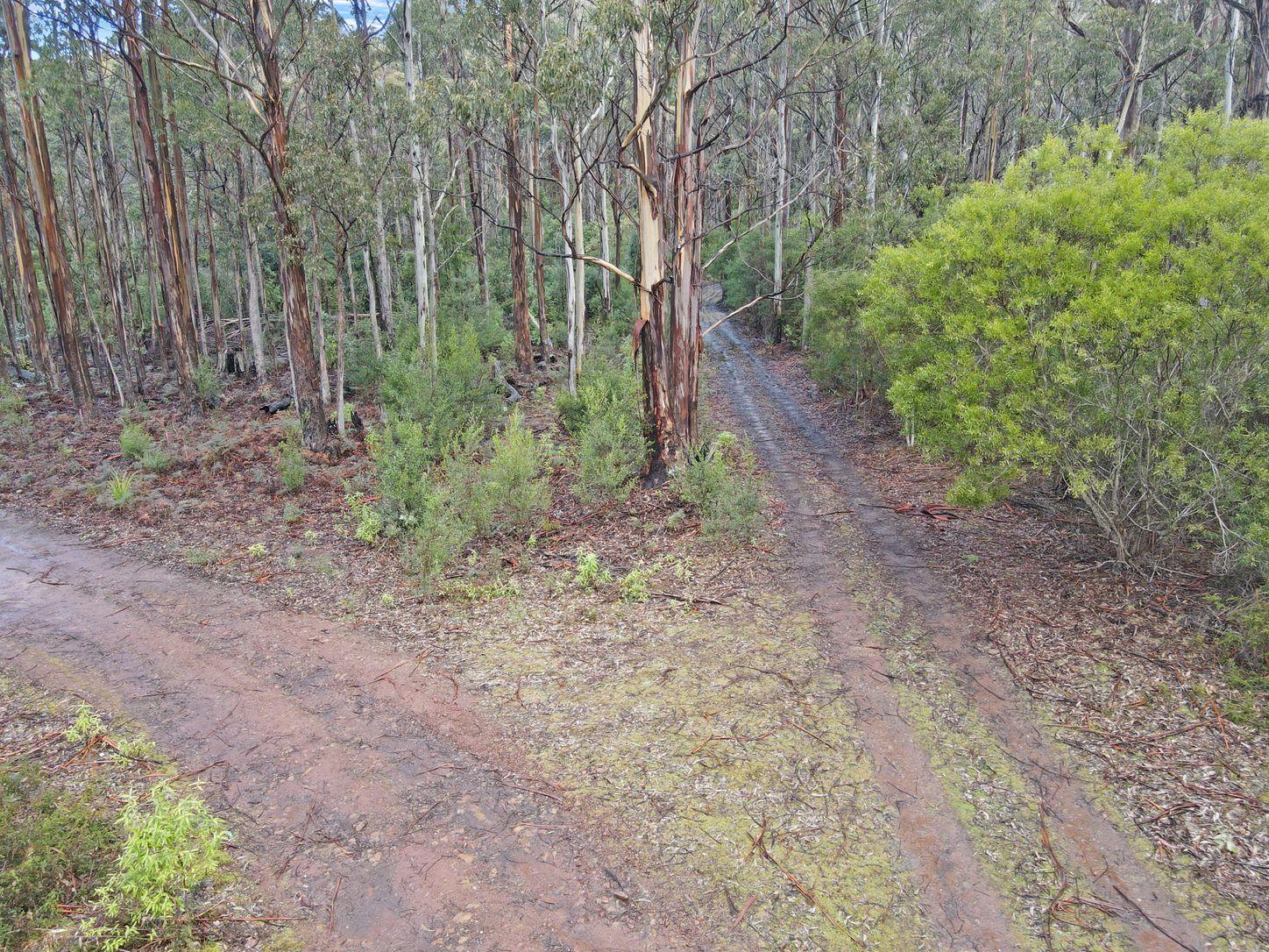 Land for Sale: St Marys, TAS 7215, TAS, 7215