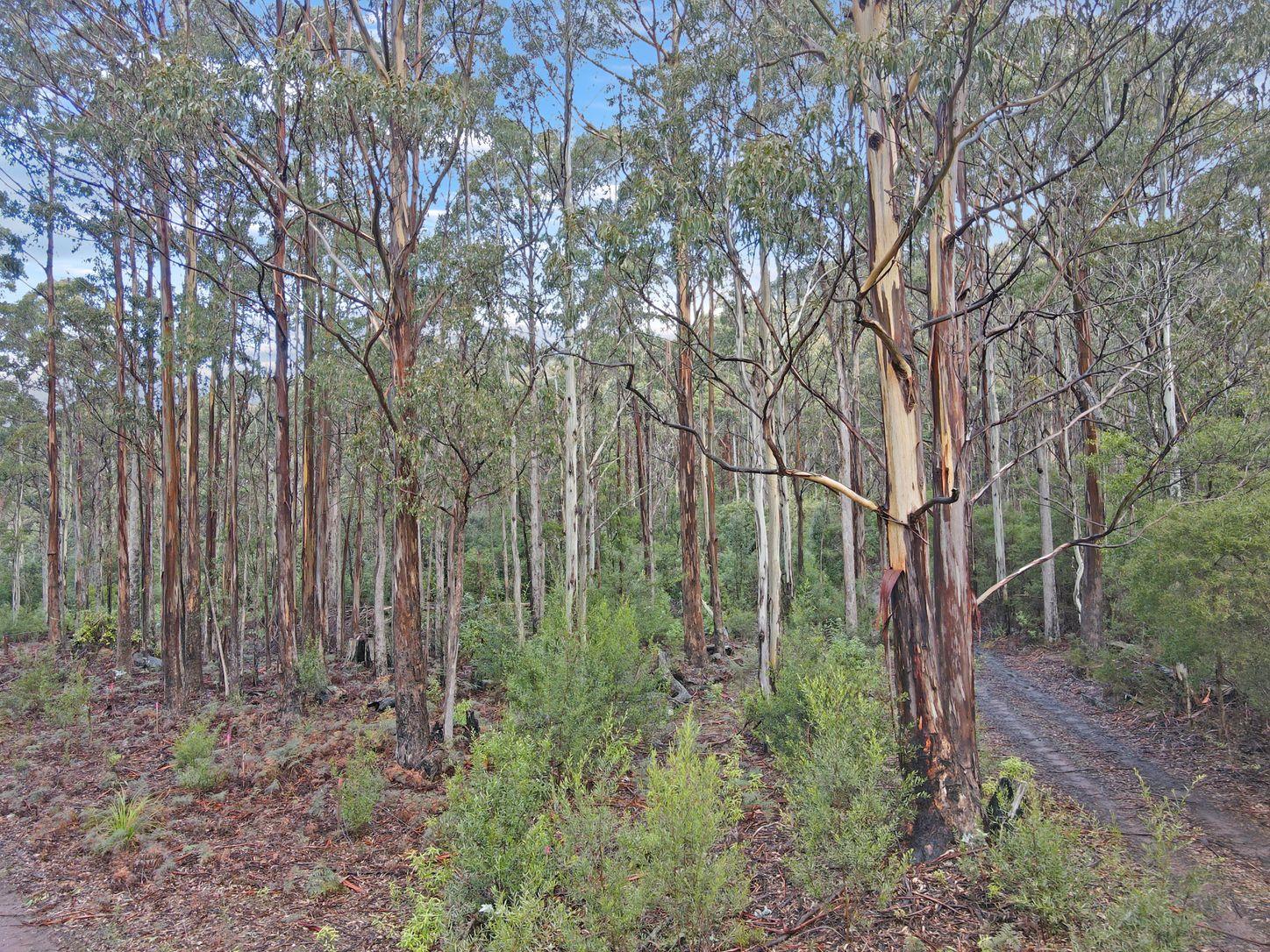 Land for Sale: St Marys, TAS 7215, TAS, 7215