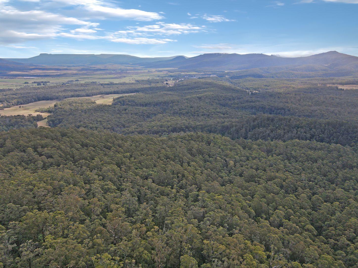 Land for Sale: St Marys, TAS 7215, TAS, 7215