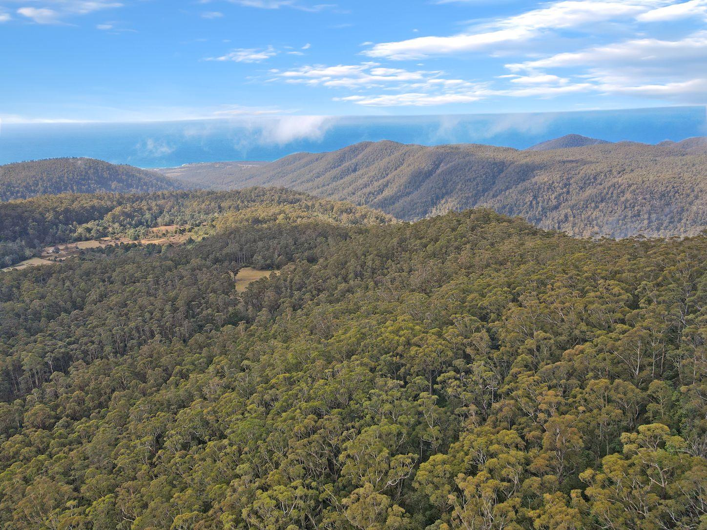 Land for Sale: St Marys, TAS 7215, TAS, 7215