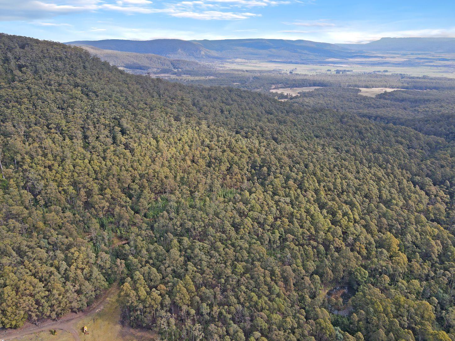 Land for Sale: St Marys, TAS 7215, TAS, 7215