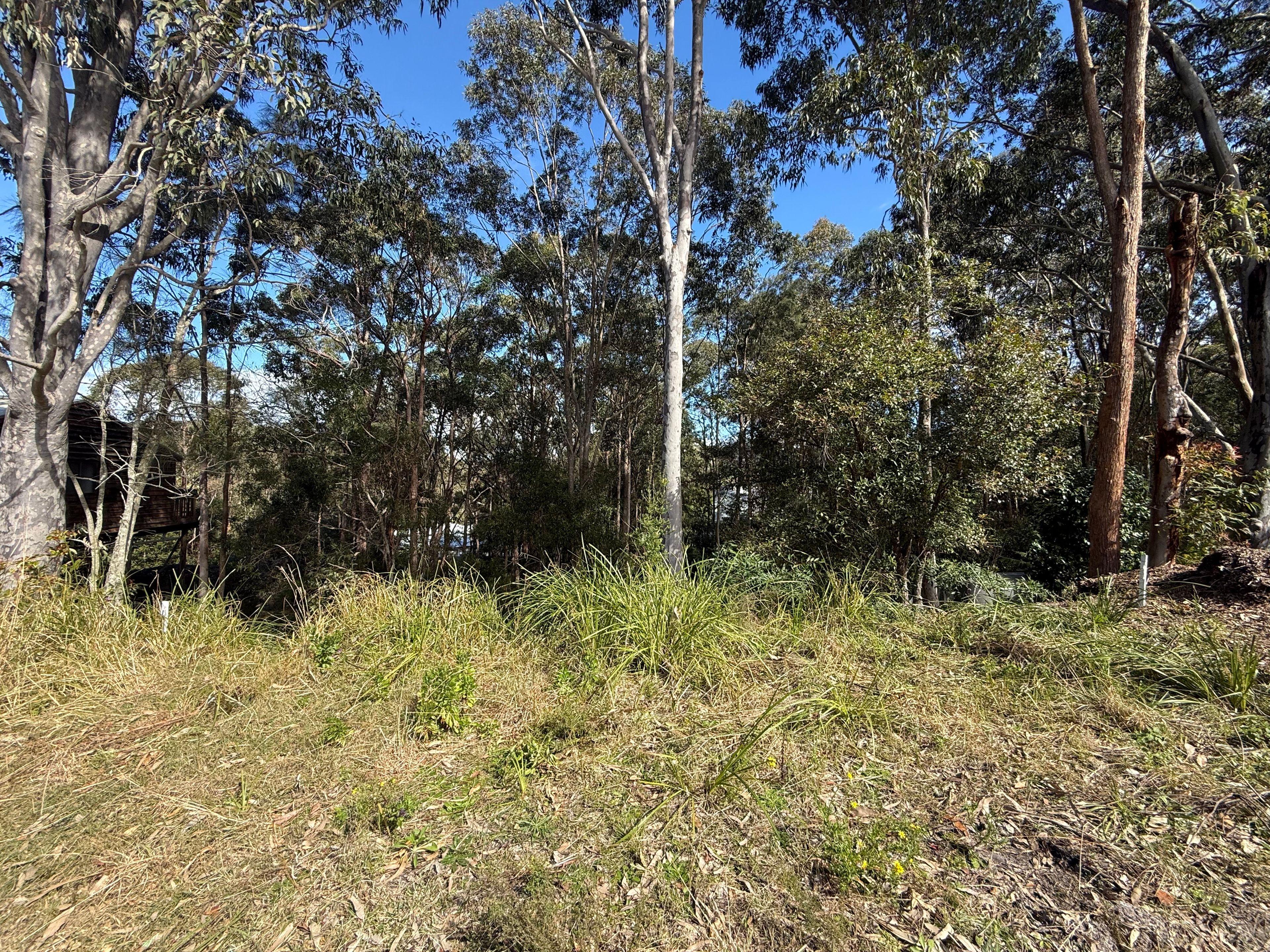 Land for Sale: Nerong, NSW 2423, NSW, 2423