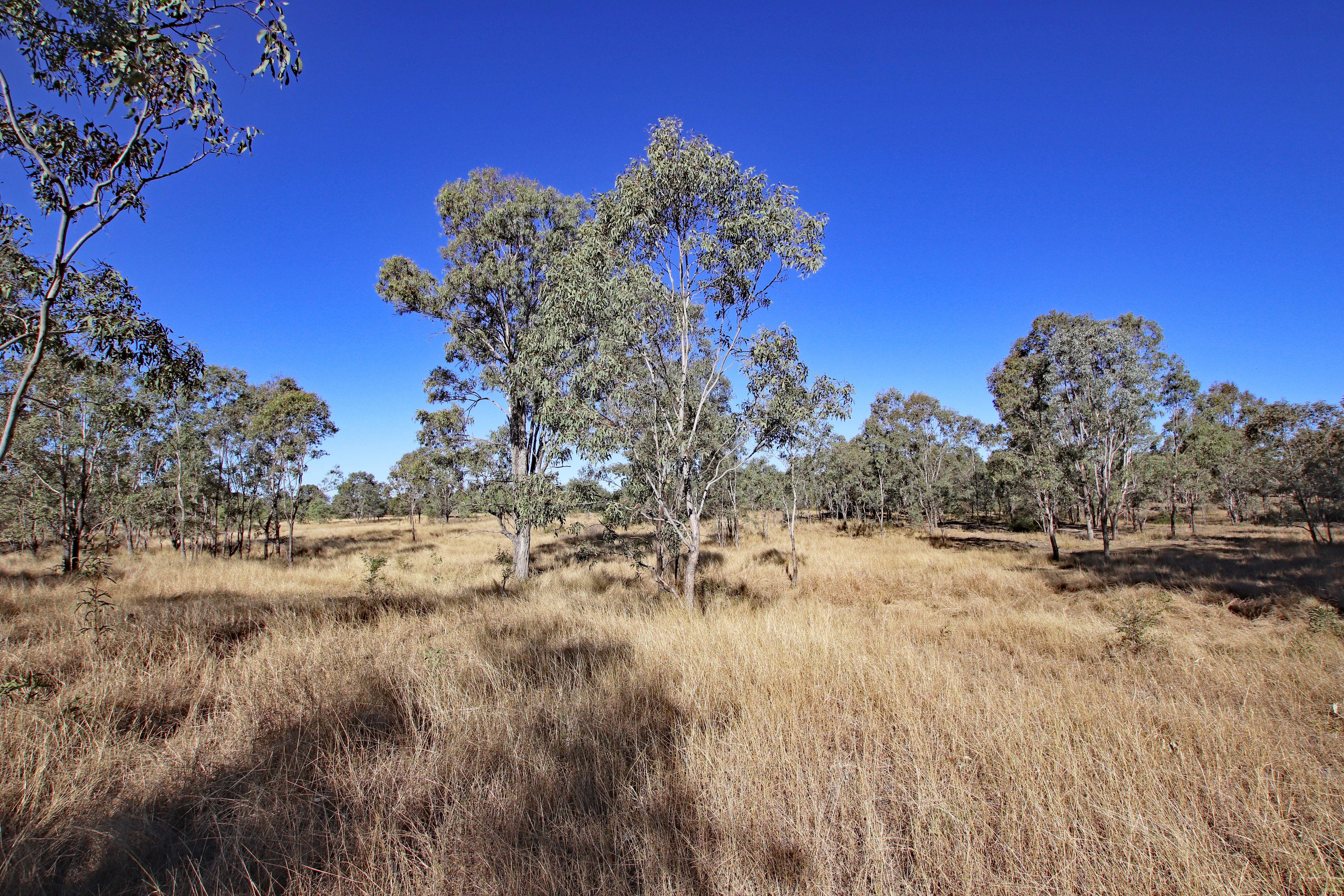 Land for Sale: Kokotungo, QLD 4702, QLD, 4702