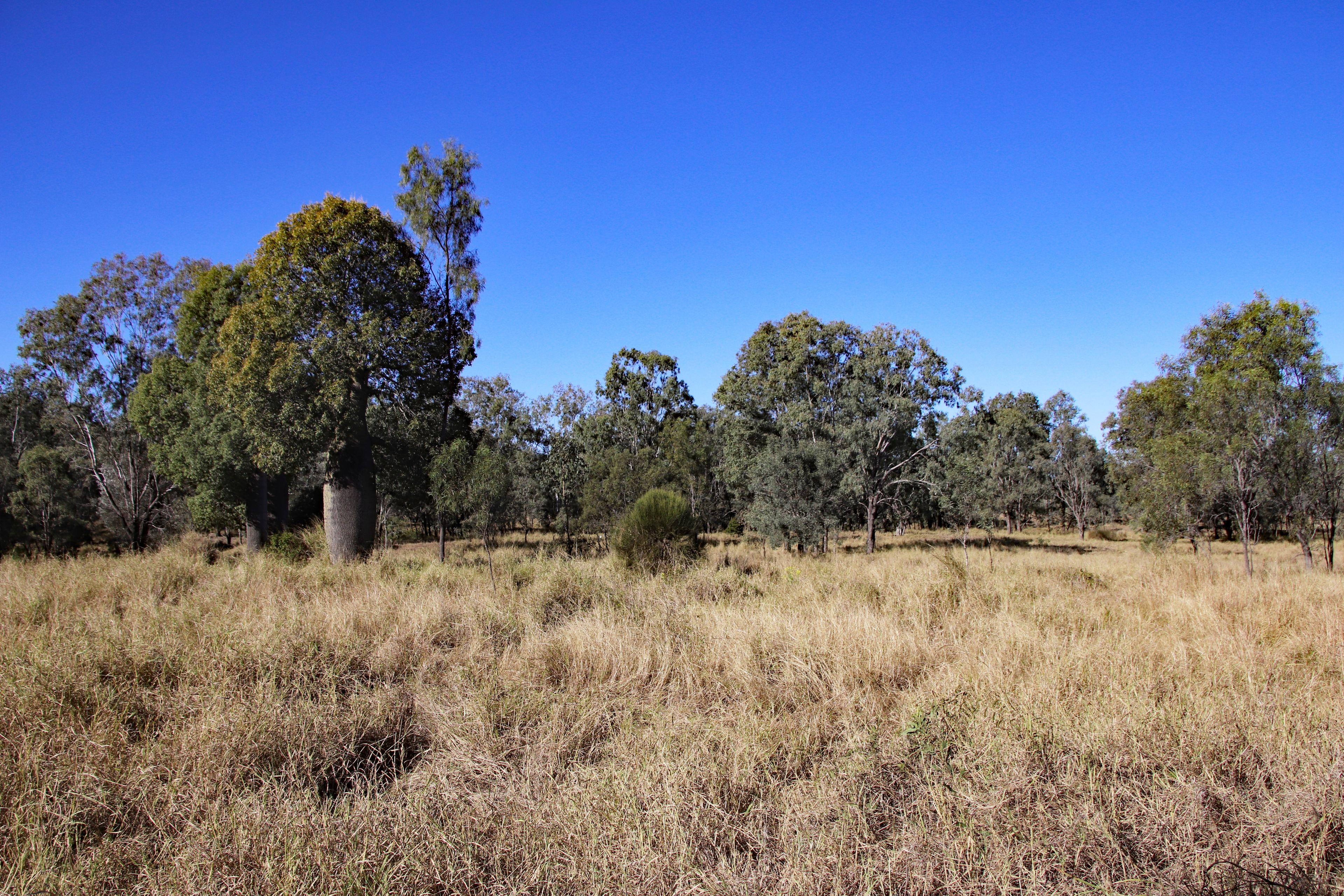 Land for Sale: Kokotungo, QLD 4702, QLD, 4702