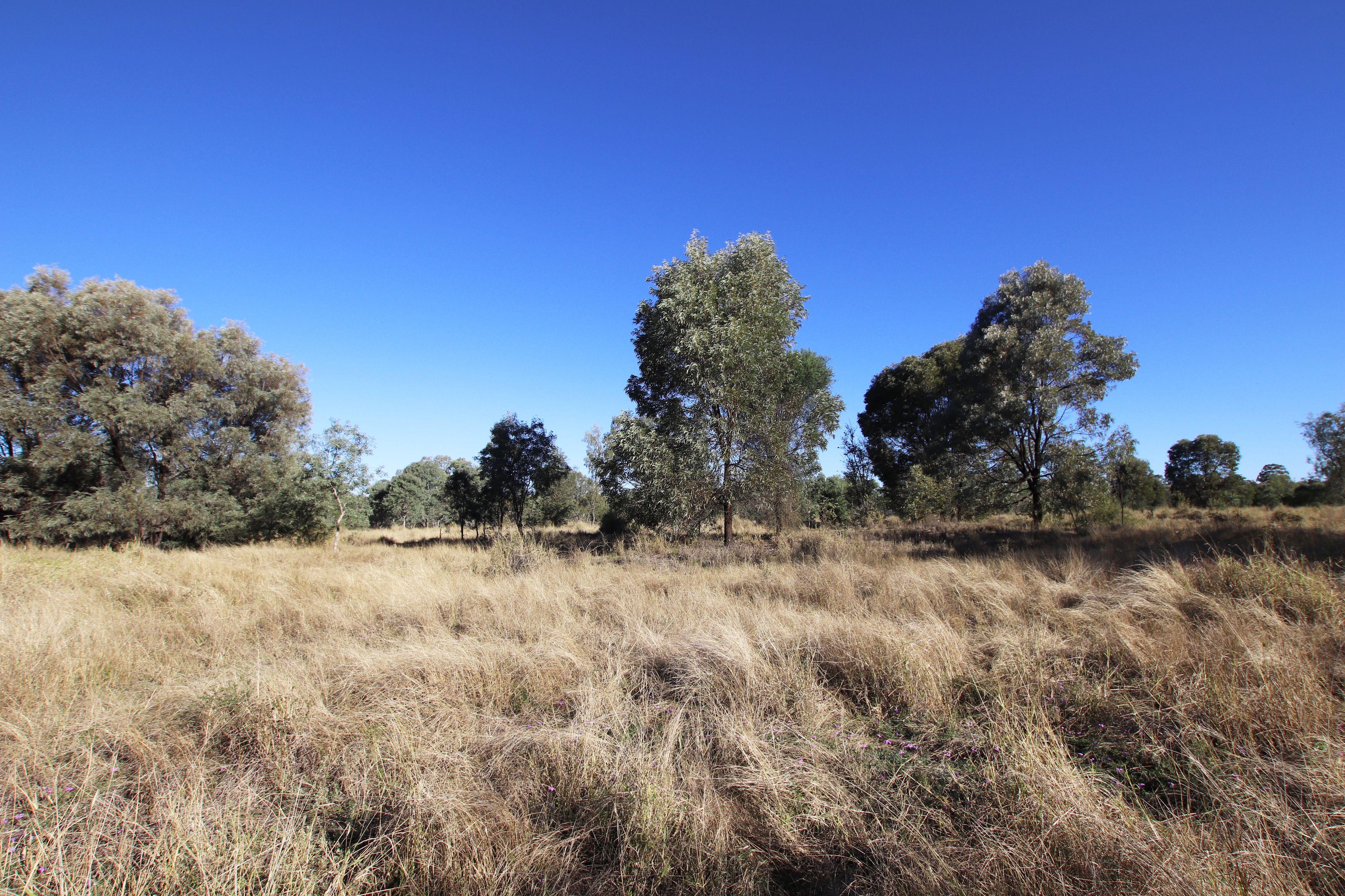 Land for Sale: Kokotungo, QLD 4702, QLD, 4702