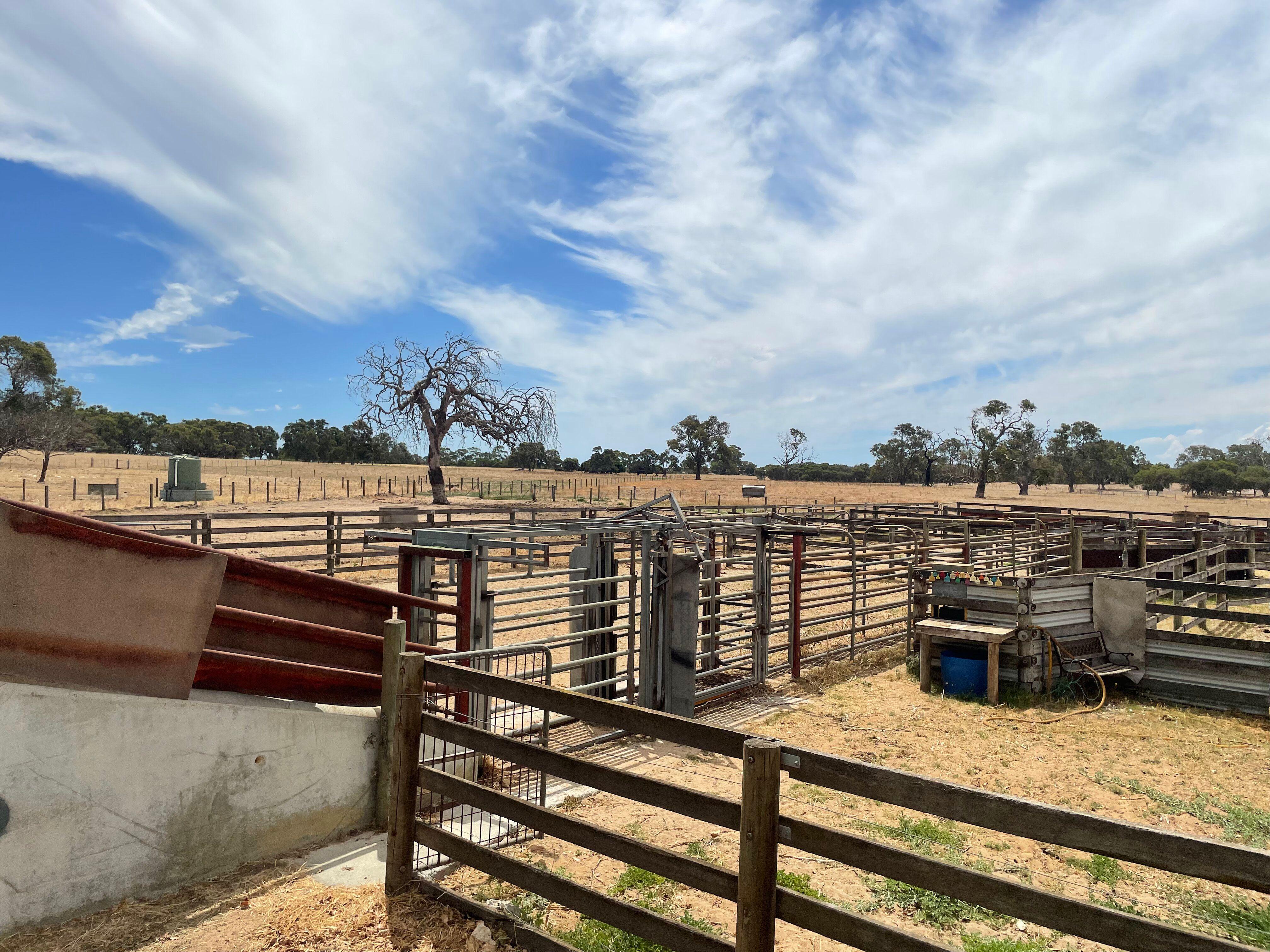 Mixed Farming for Sale: Wanerie, WA 6503, WA, 6503