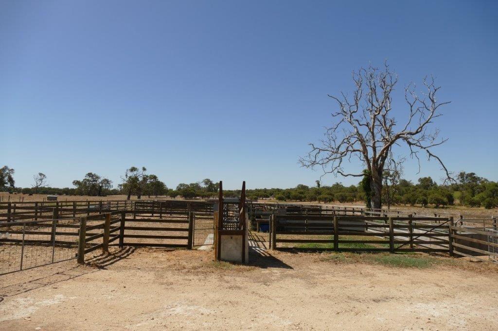 Mixed Farming for Sale: Wanerie, WA 6503, WA, 6503