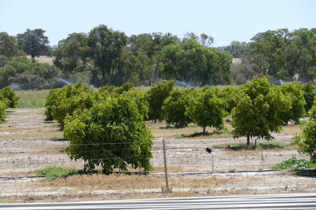 Mixed Farming for Sale: Wanerie, WA 6503, WA, 6503