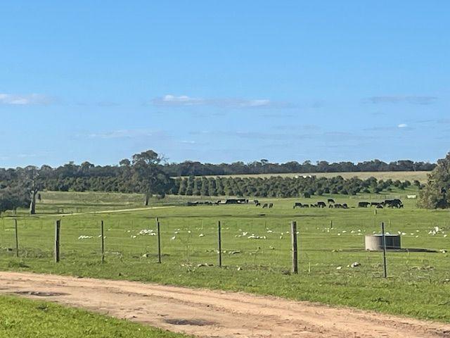 Mixed Farming for Sale: Wanerie, WA 6503, WA, 6503