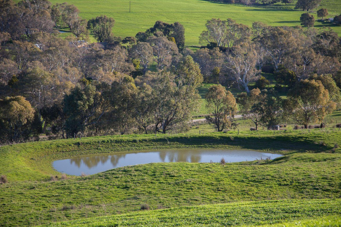 Property for Sale: Yankalilla, SA 5203, SA, 5203