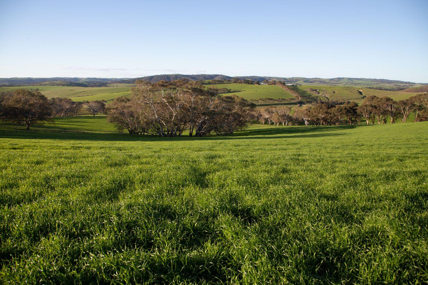 Property for Sale: Yankalilla, SA 5203, SA, 5203