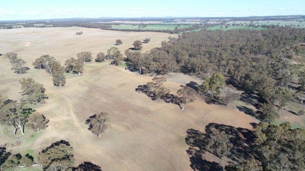 Property for Sale: Wedderburn, VIC 3518, VIC, 3518