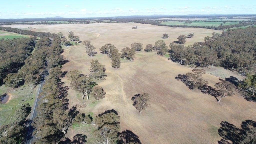 Property for Sale: Wedderburn, VIC 3518, VIC, 3518