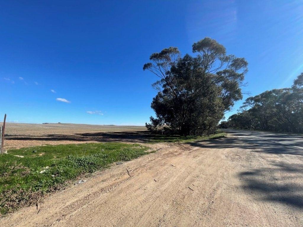 Property for Sale: Wedderburn, VIC 3518, VIC, 3518