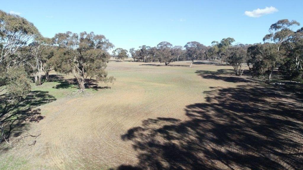 Property for Sale: Wedderburn, VIC 3518, VIC, 3518