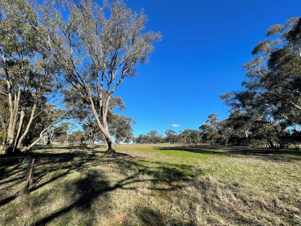 Property for Sale: Wedderburn, VIC 3518, VIC, 3518